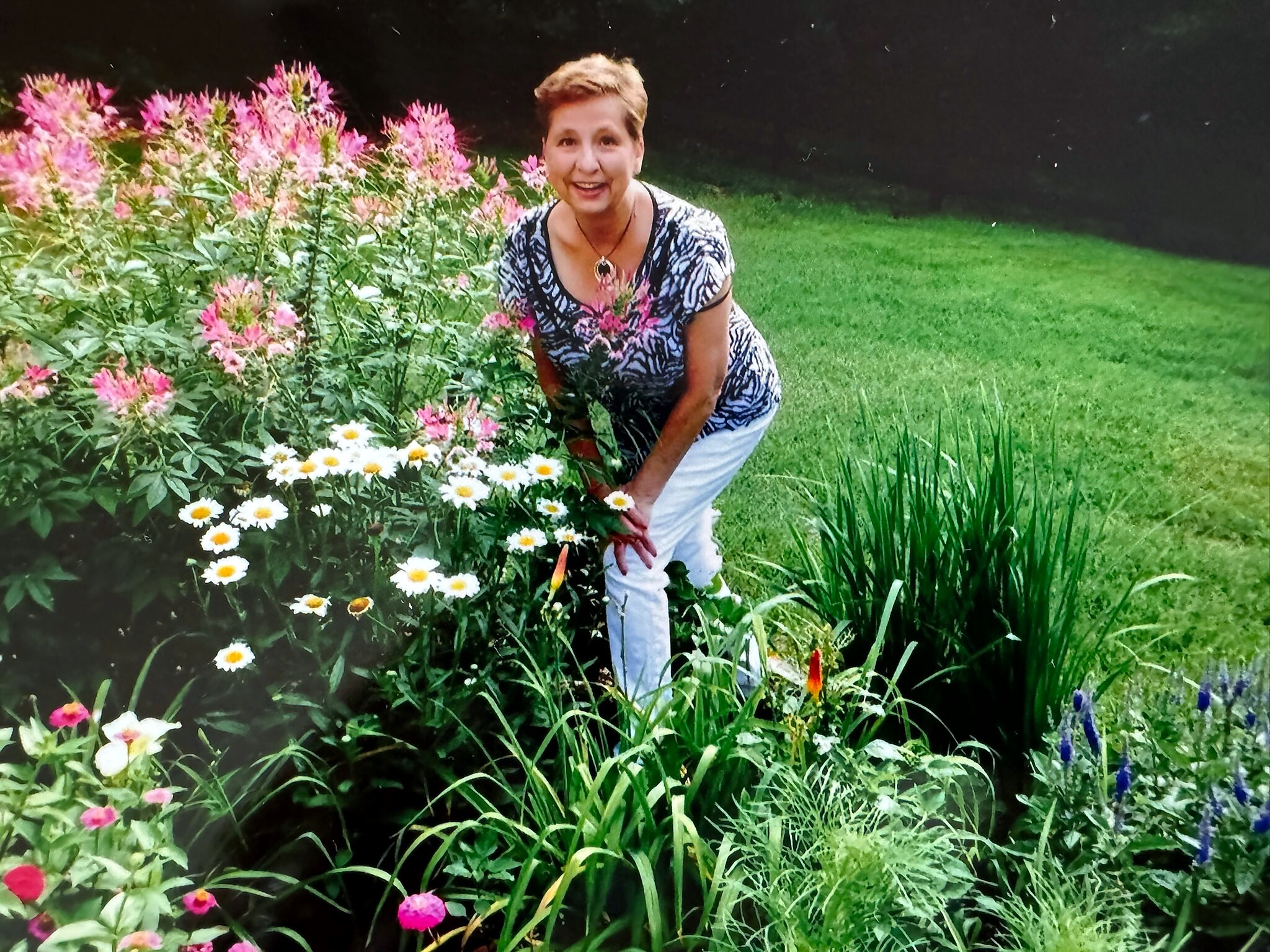 Woman in a blue and white patterned top bending among pink flowers and white daisies in a garden.