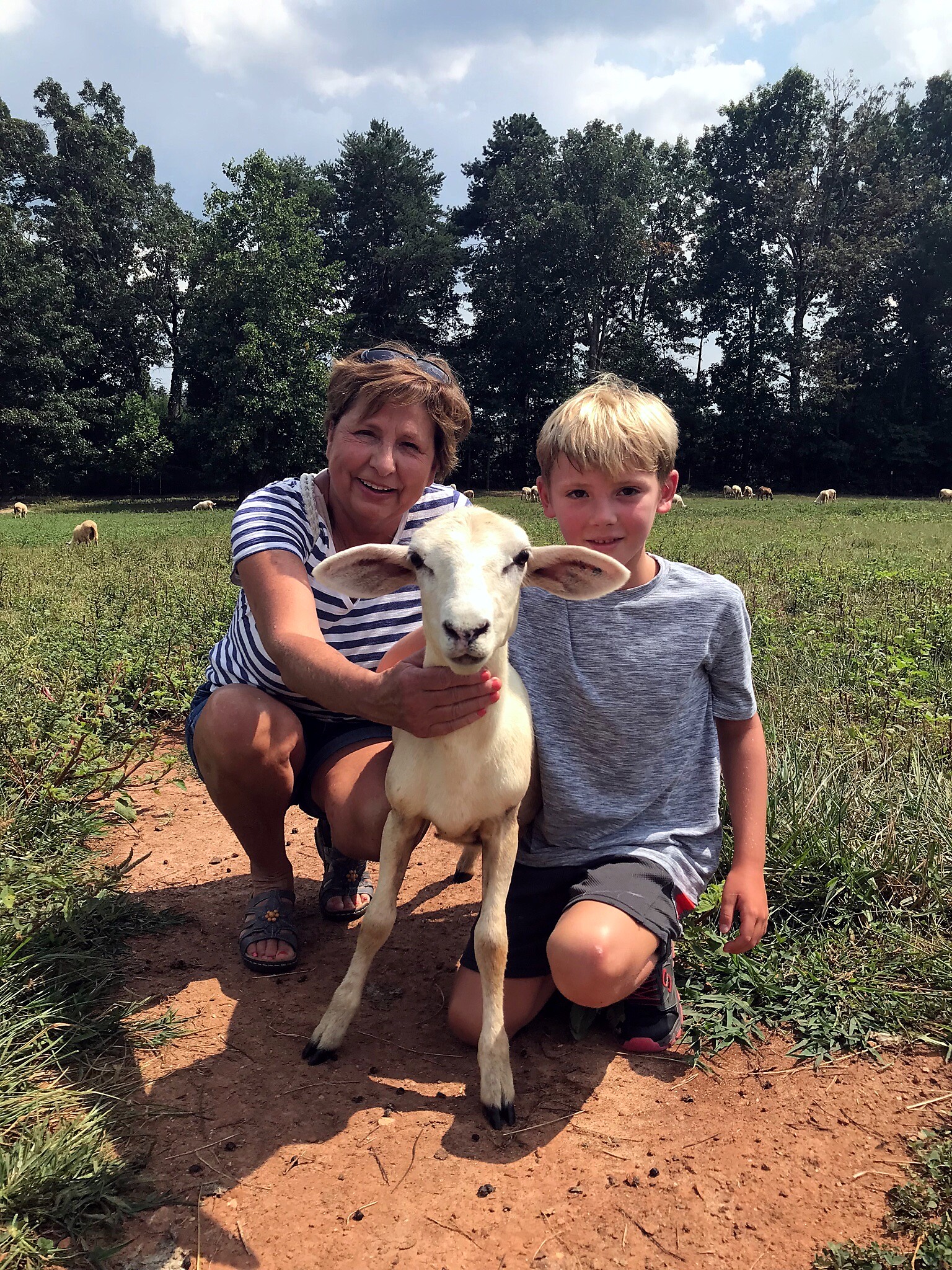 Woman and boy kneel in a field, holding a young white lamb toward the camera with sheep in the background under a cloudy sky.