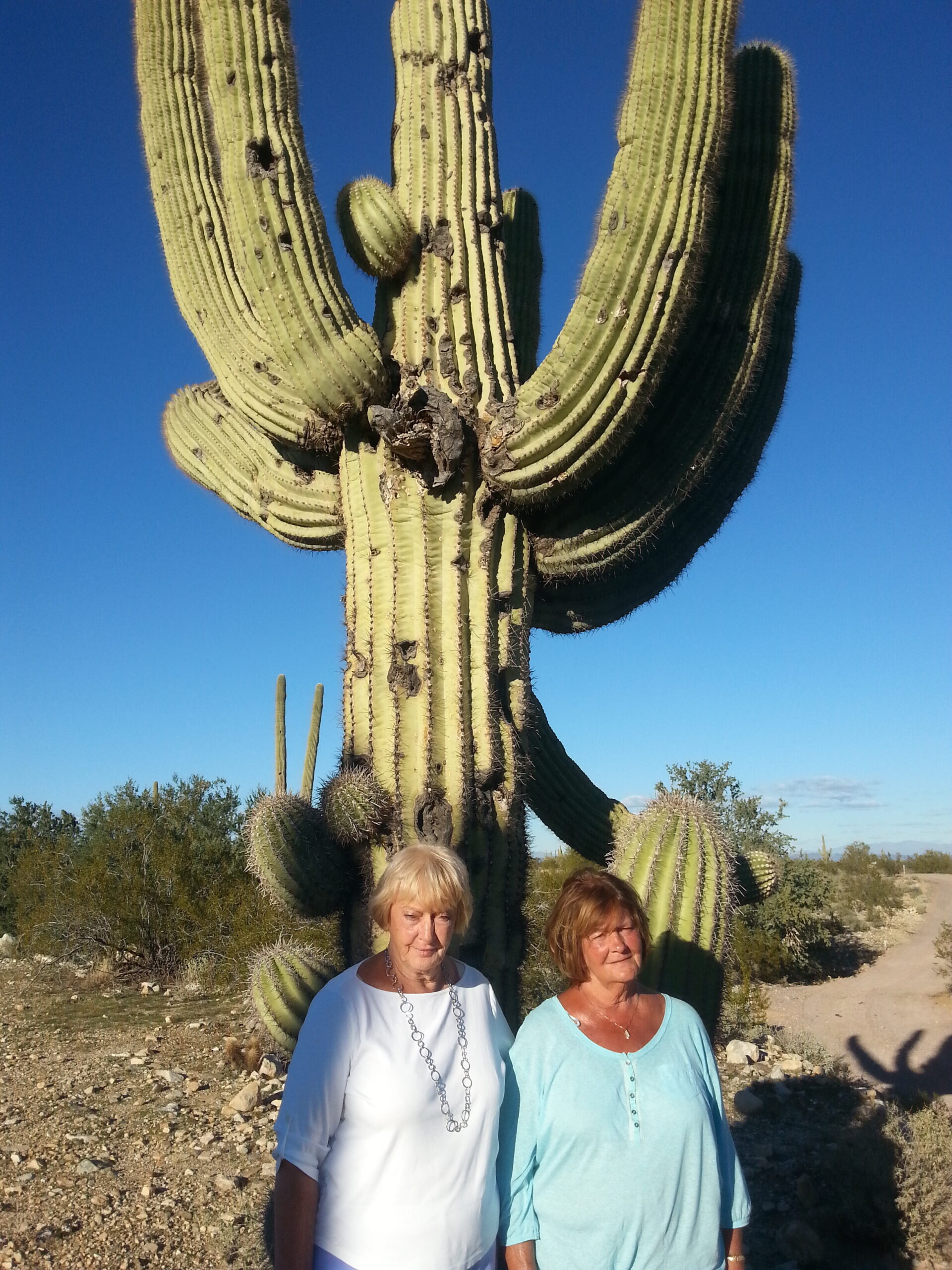 Two women stand in front of a tall saguaro cactus under a bright blue sky.