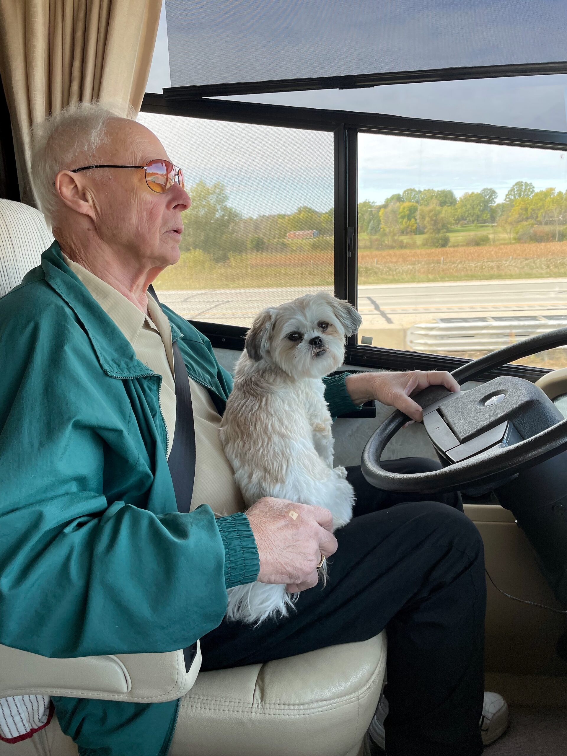 Older man wearing sunglasses driving a vehicle, with a small white dog on his lap.