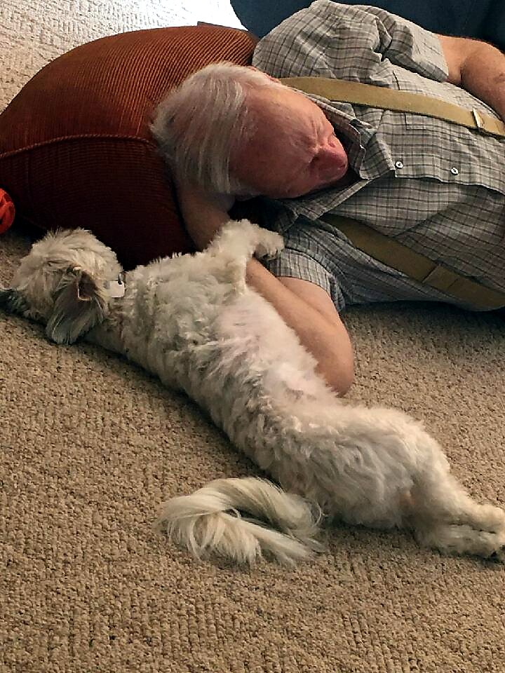 An older man lies on a beige carpet, resting on his side, with a small fluffy white dog snuggling against his arm.