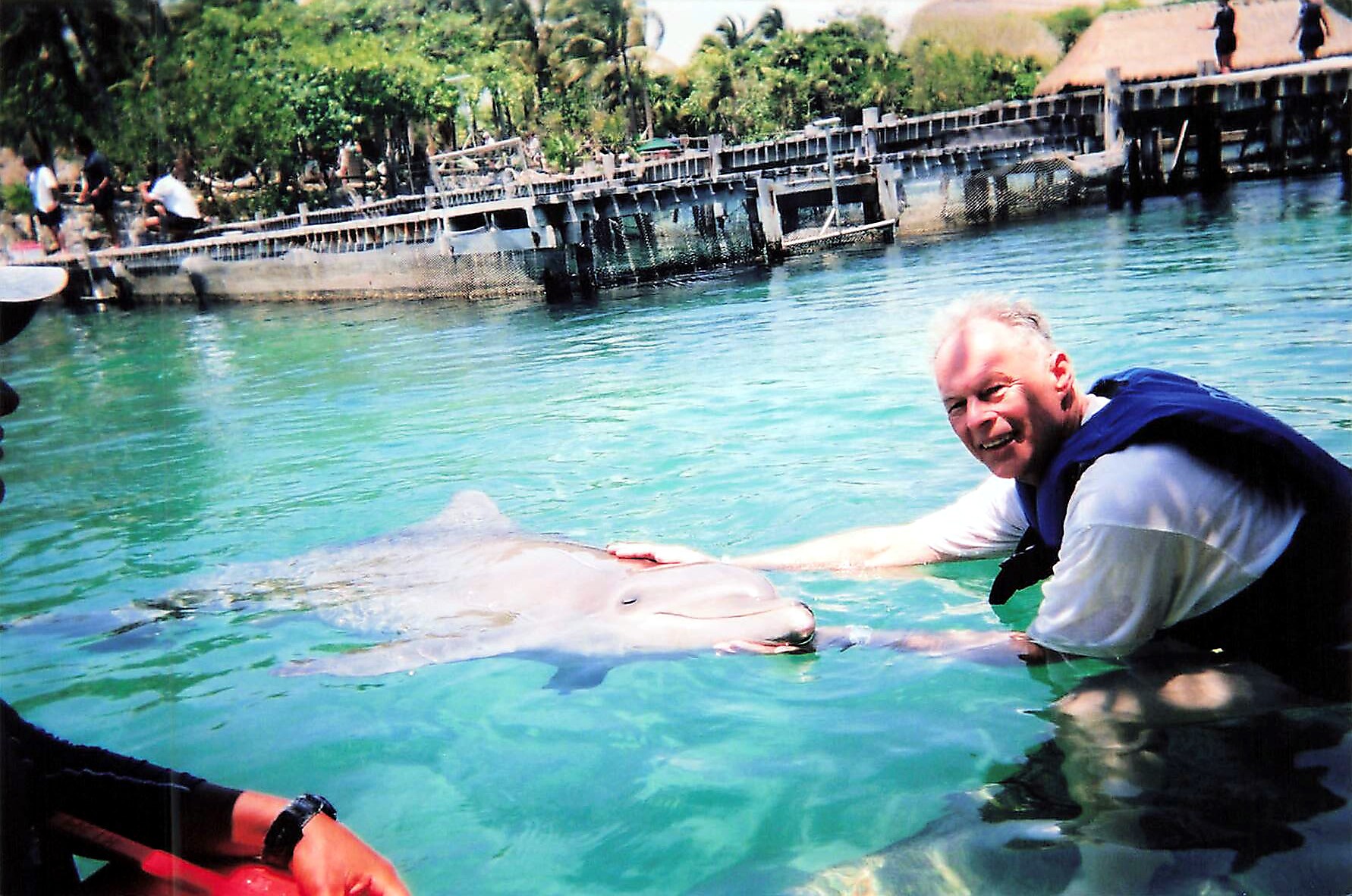 Man in a life jacket gently touching a dolphin in turquoise water near a wooden dock with people watching in the background.