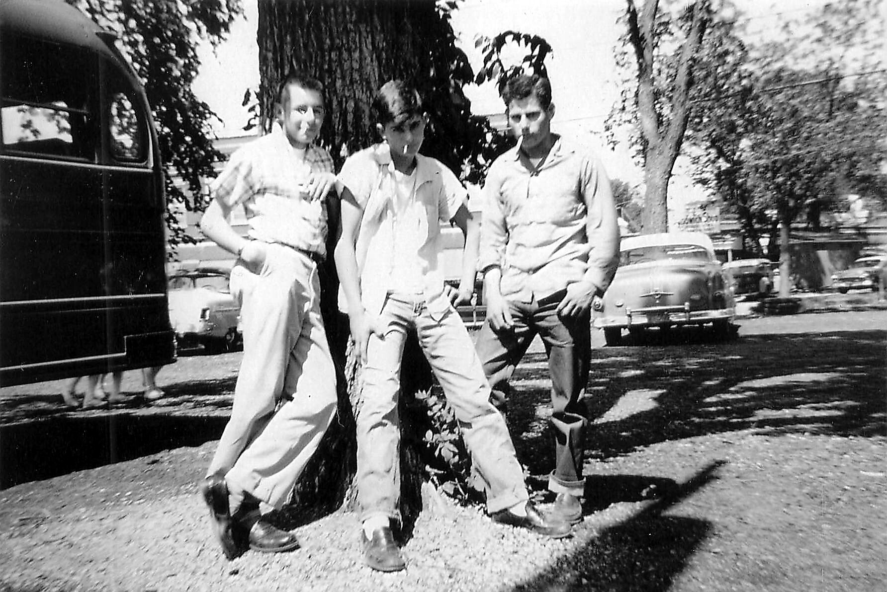 Three young men pose together against a large tree on a sunny street with vintage cars in the background, black-and-white photo.