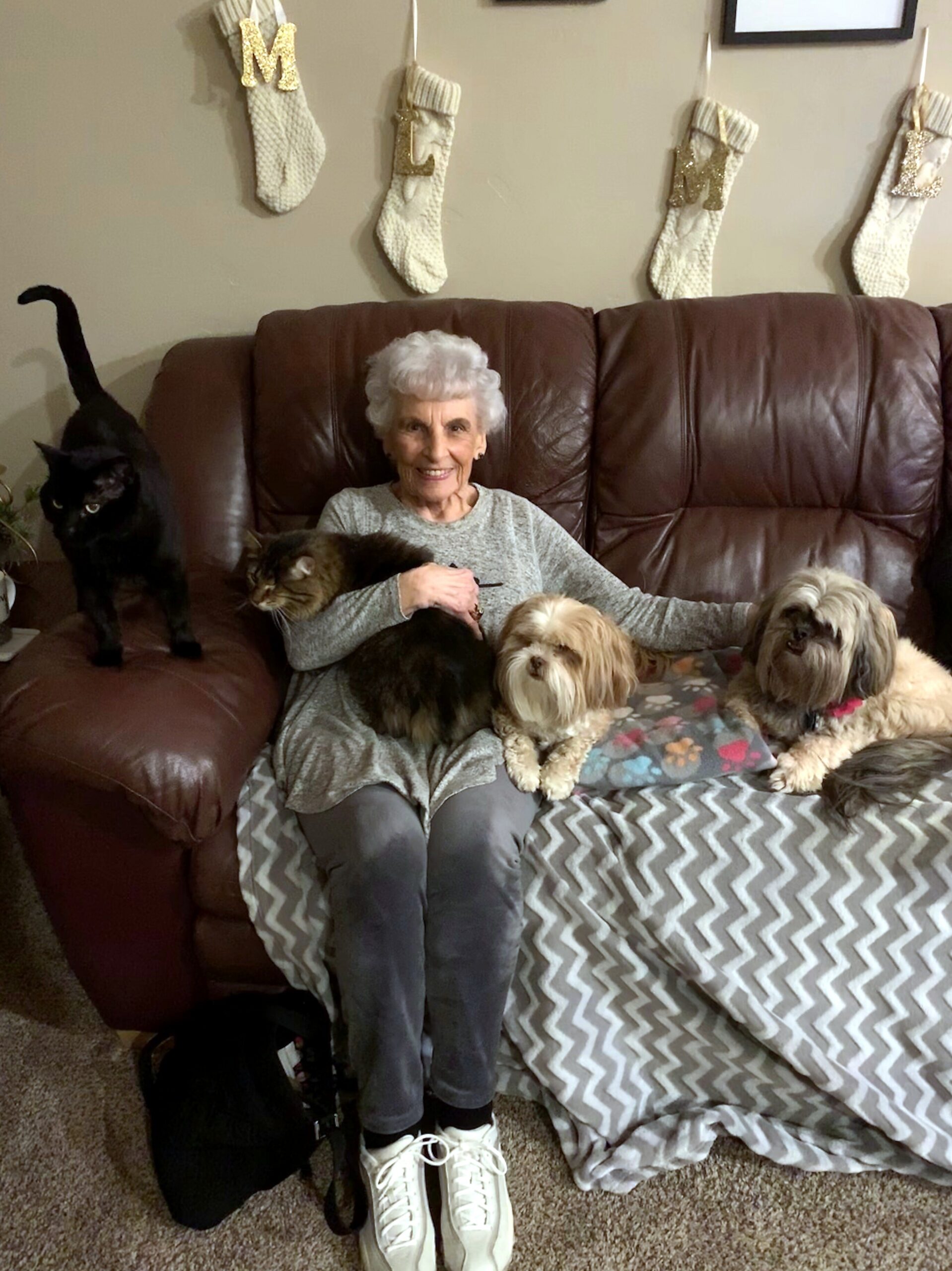 Smiling elderly woman on a brown leather sofa with four small dogs around her; Christmas stockings hang on the wall behind.