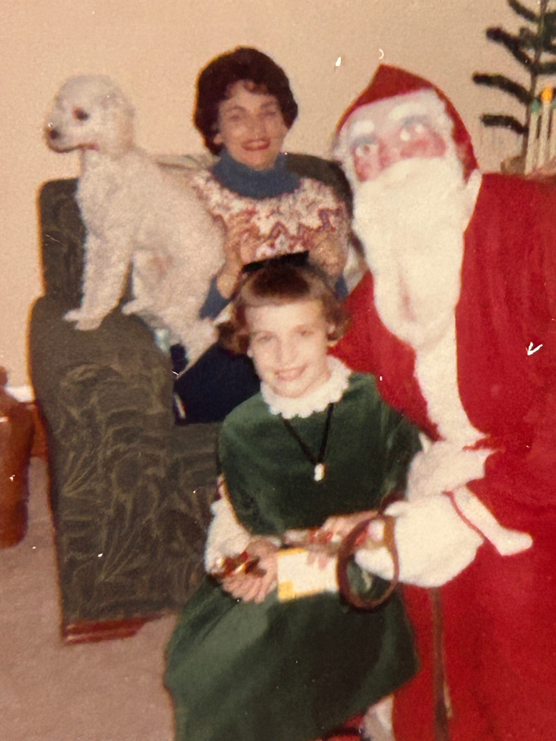Group photo with Santa Claus in a red suit, a smiling woman, and a girl in a green dress holding a gift, with a white dog nearby in a living room.