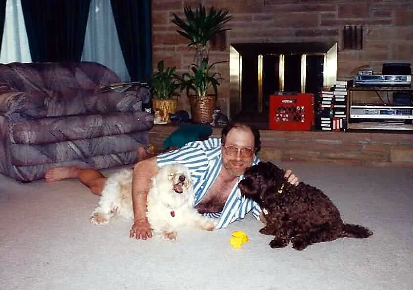 Man in a striped shirt lying on the carpet with two dogs—a white fluffy one and a brown curly one—near a yellow toy in a cozy living room by a brick fireplace and plants.