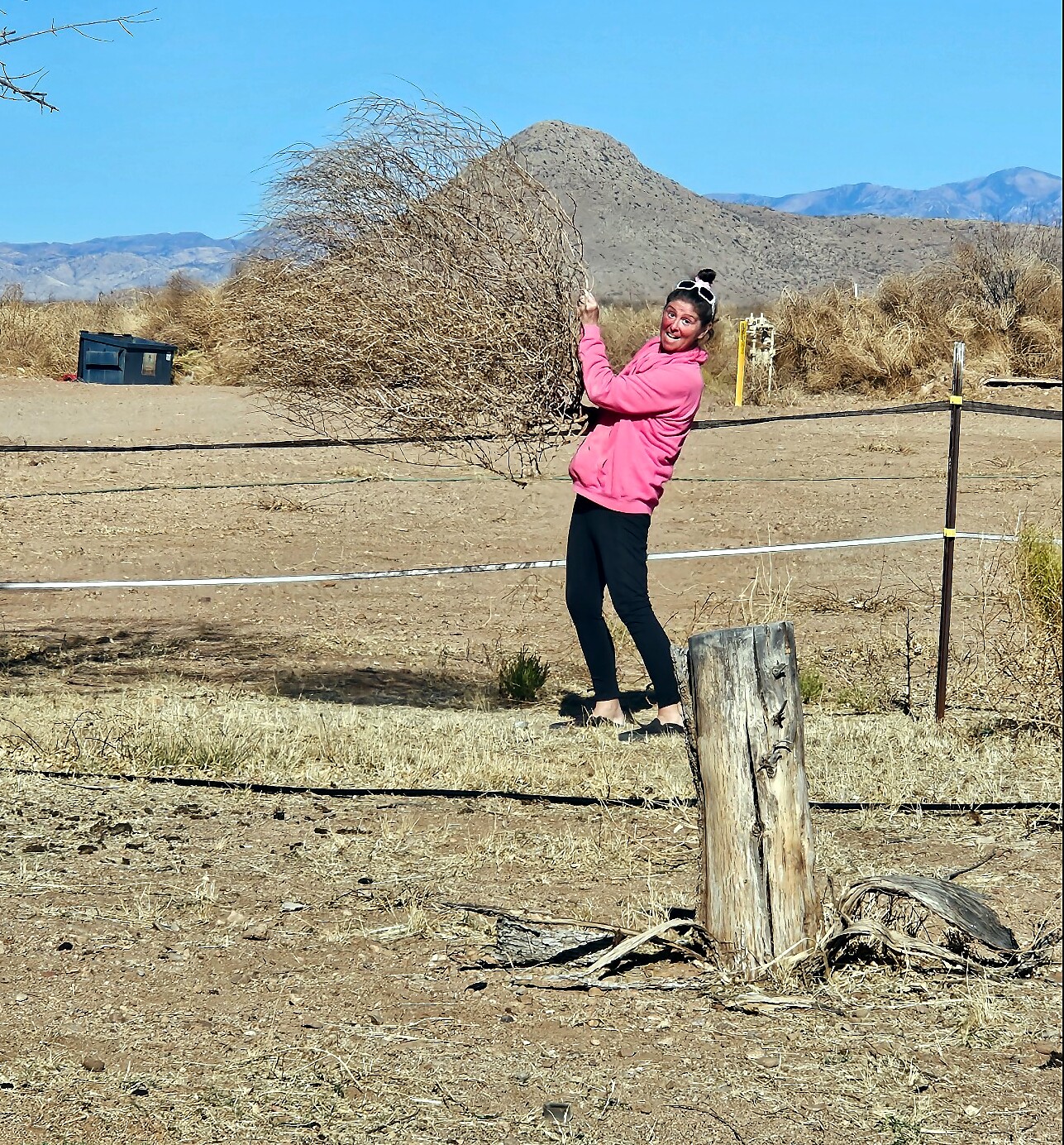 Woman in a pink hoodie lifts a large tumbleweed in a dry desert field with mountains in the background.