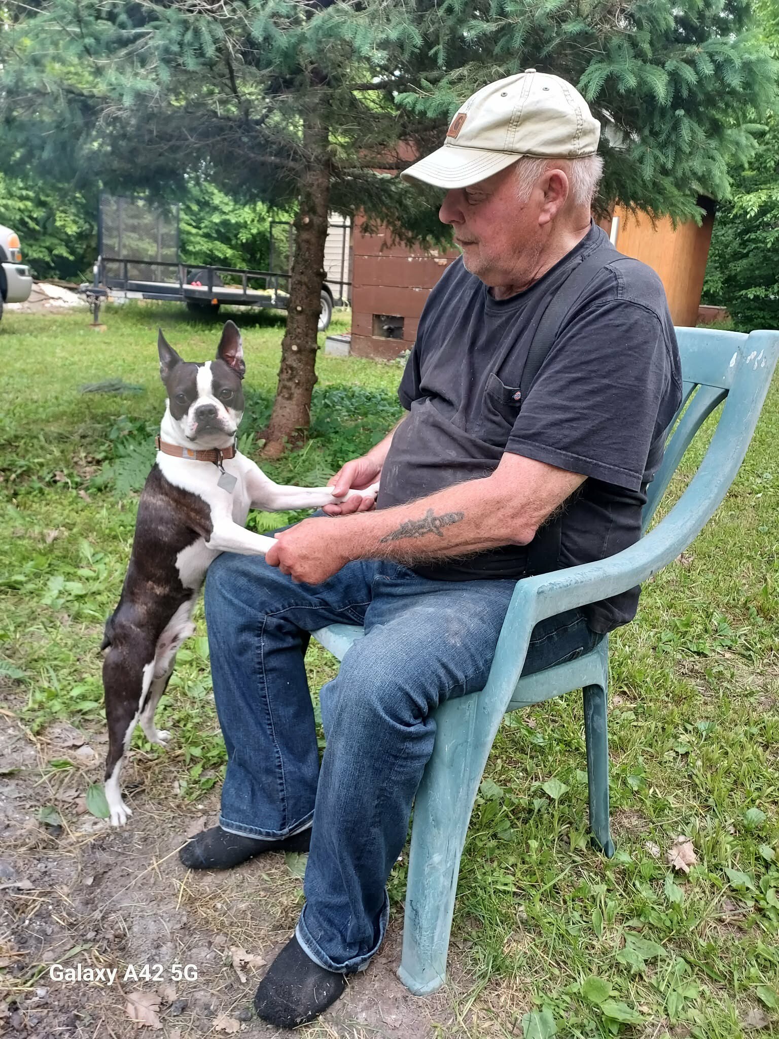 Older man in a beige cap sits in a blue plastic lawn chair outdoors, shaking paws with a black-and-white Boston terrier dog.