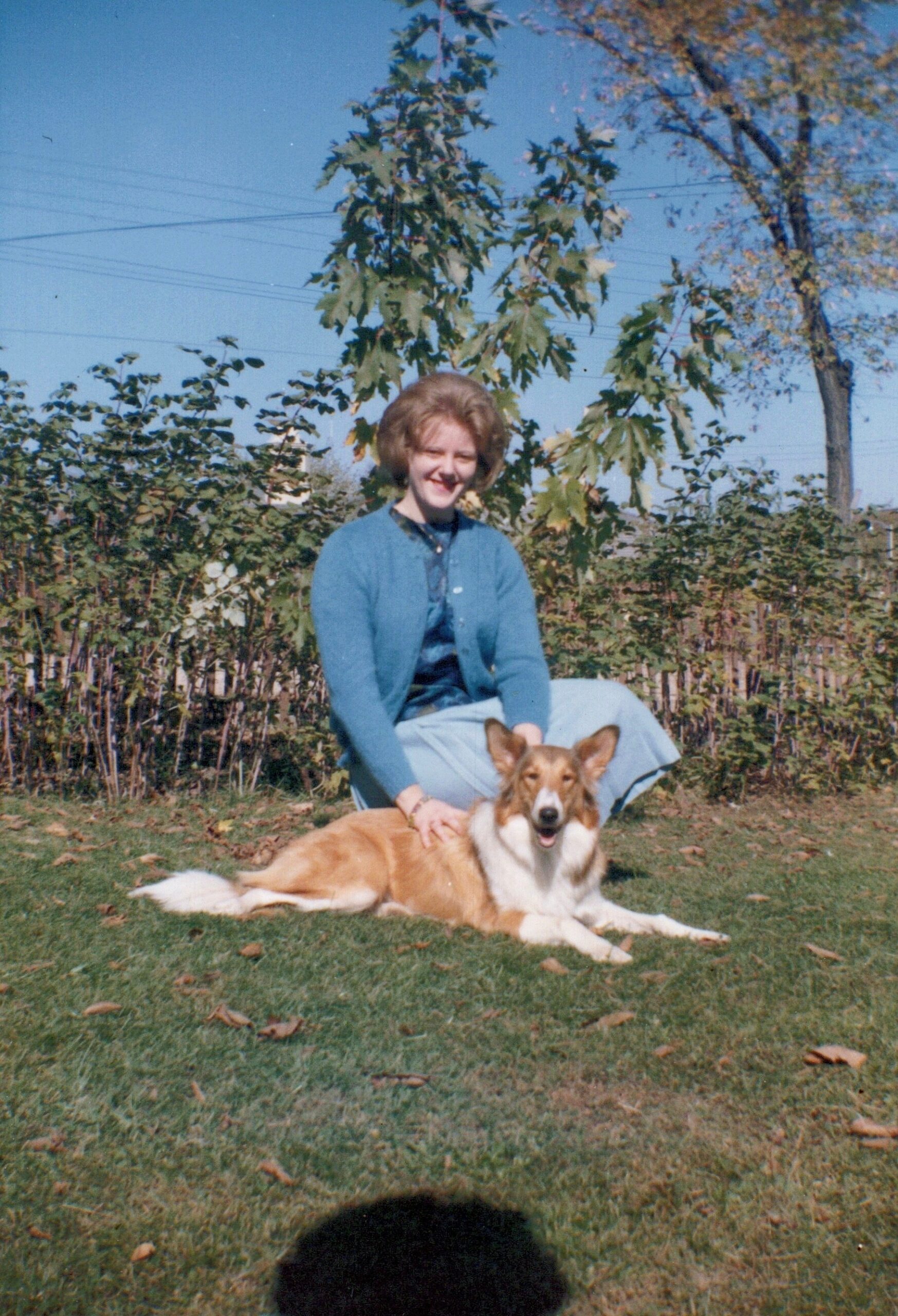 Woman in a blue cardigan sits on grass with a smiling corgi in front, yard and trees in the background.