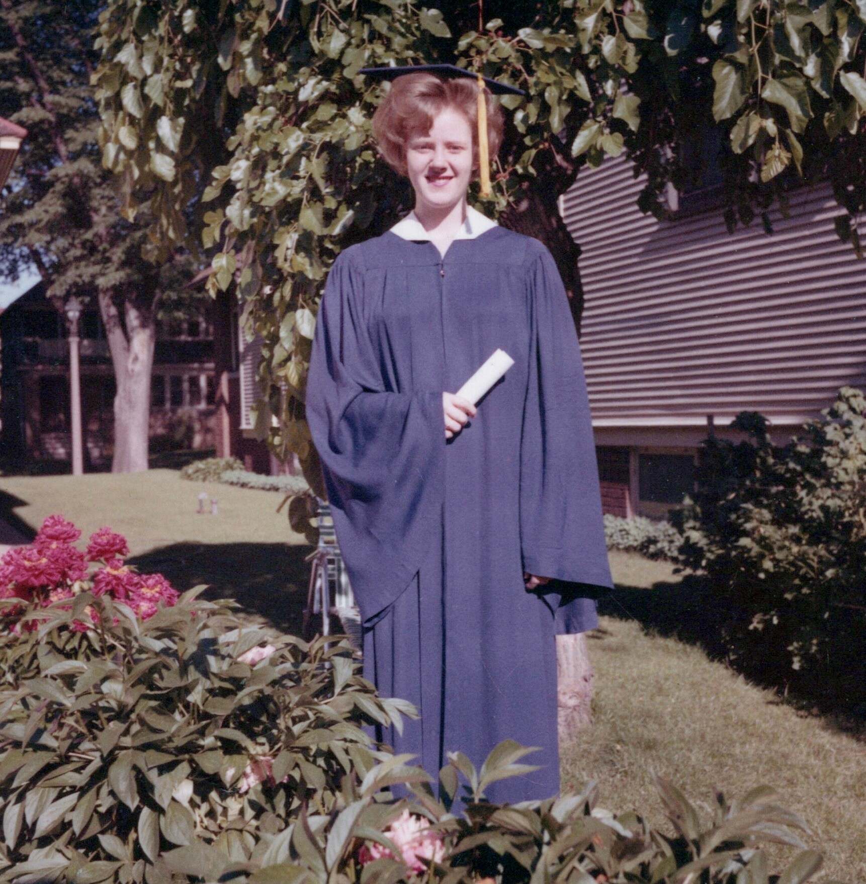 Young woman in a blue graduation gown and cap holding a rolled diploma, posing outdoors in front of bushes.