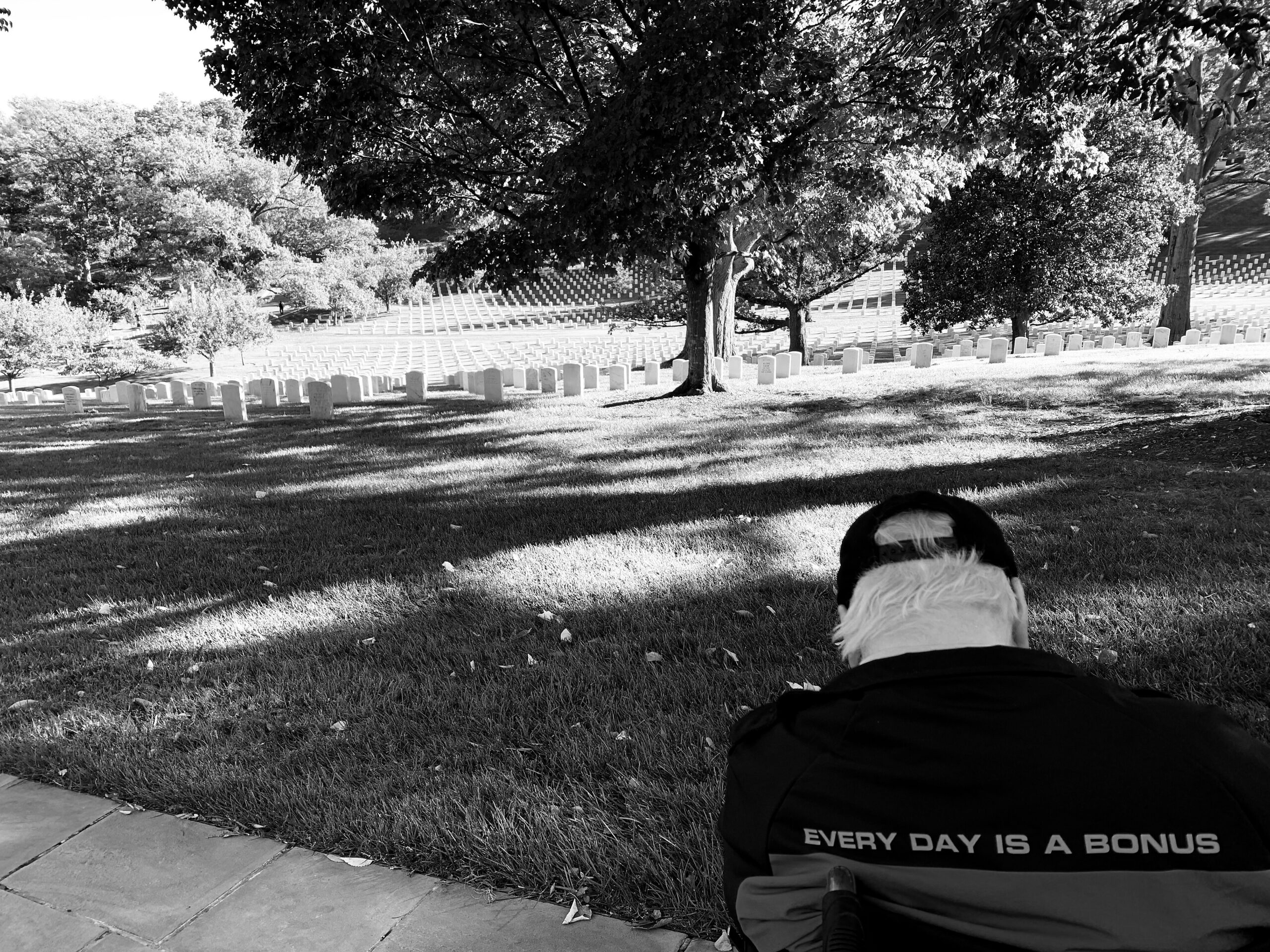 Grayscale photo of a hillside cemetery with rows of white headstones and large trees; a person lies on the grass in foreground, jacket reading 'EVERY DAY IS A BONUS'.