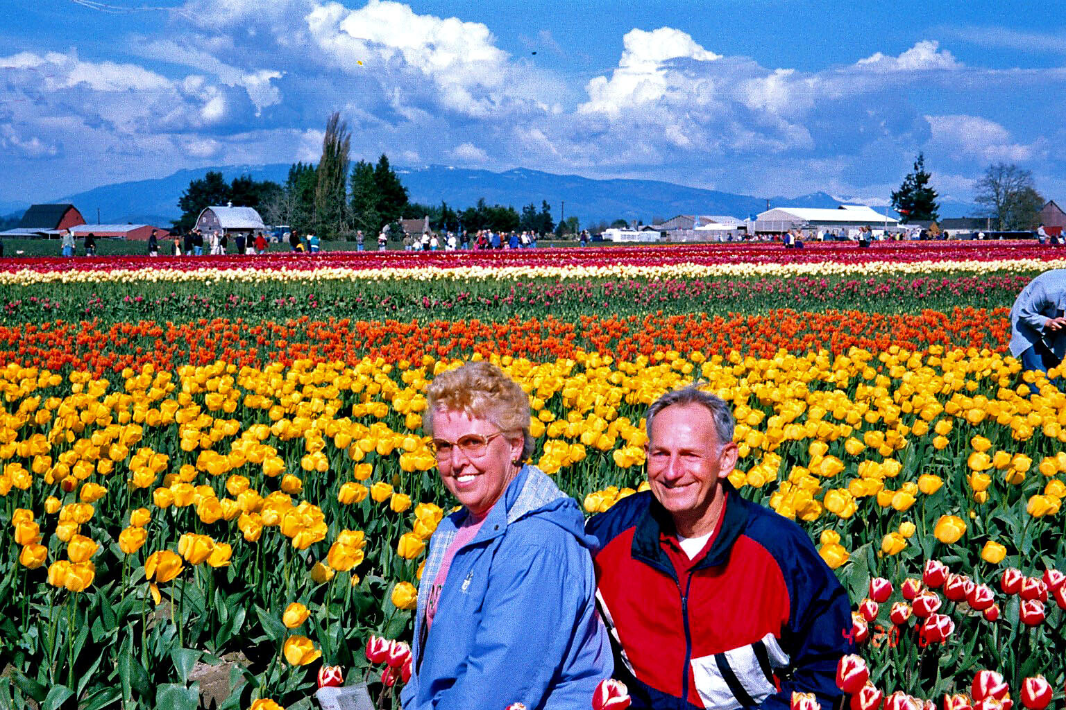 Couple smiling in a vibrant tulip field with yellow, red, and orange rows and farm buildings in the distance.