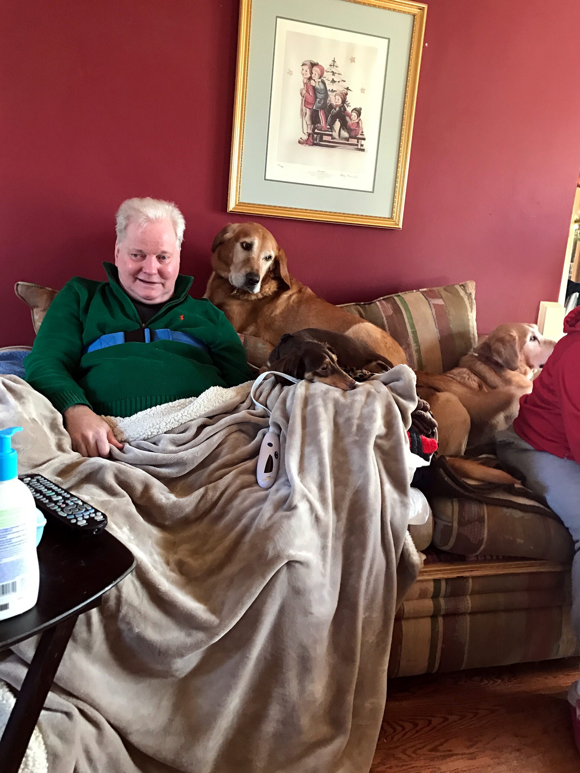 Older man in a green sweater relaxing on a sofa with two dogs, against a red wall and a framed picture above them.