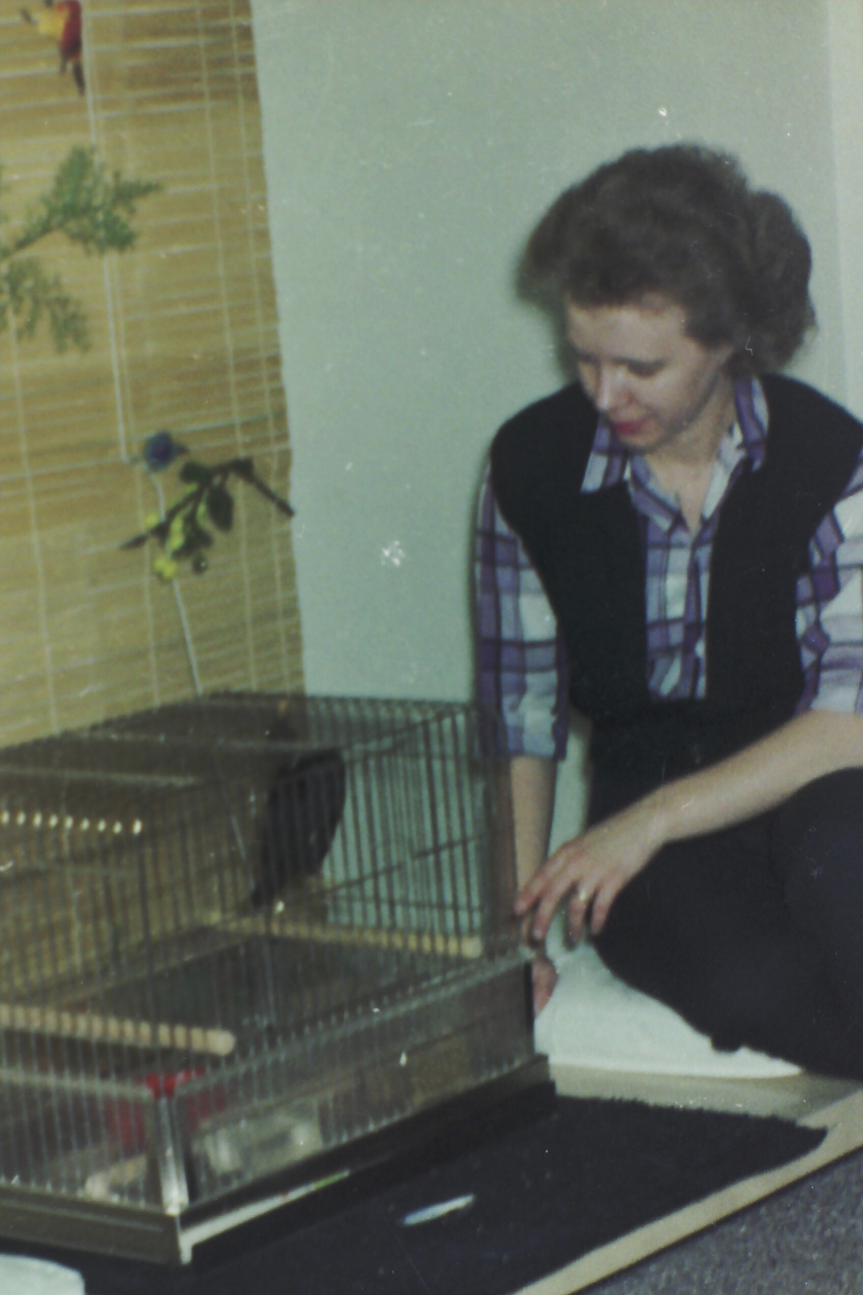 Woman with curly hair kneeling beside a large metal pet crate in a room with wooden blinds in the background.