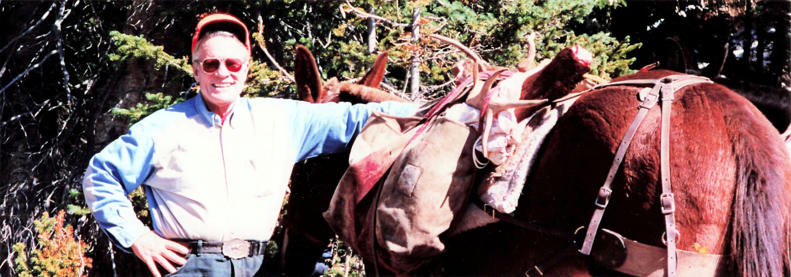 Smiling man in a blue shirt and red cap stands beside a saddled brown horse with gear in a forested area.