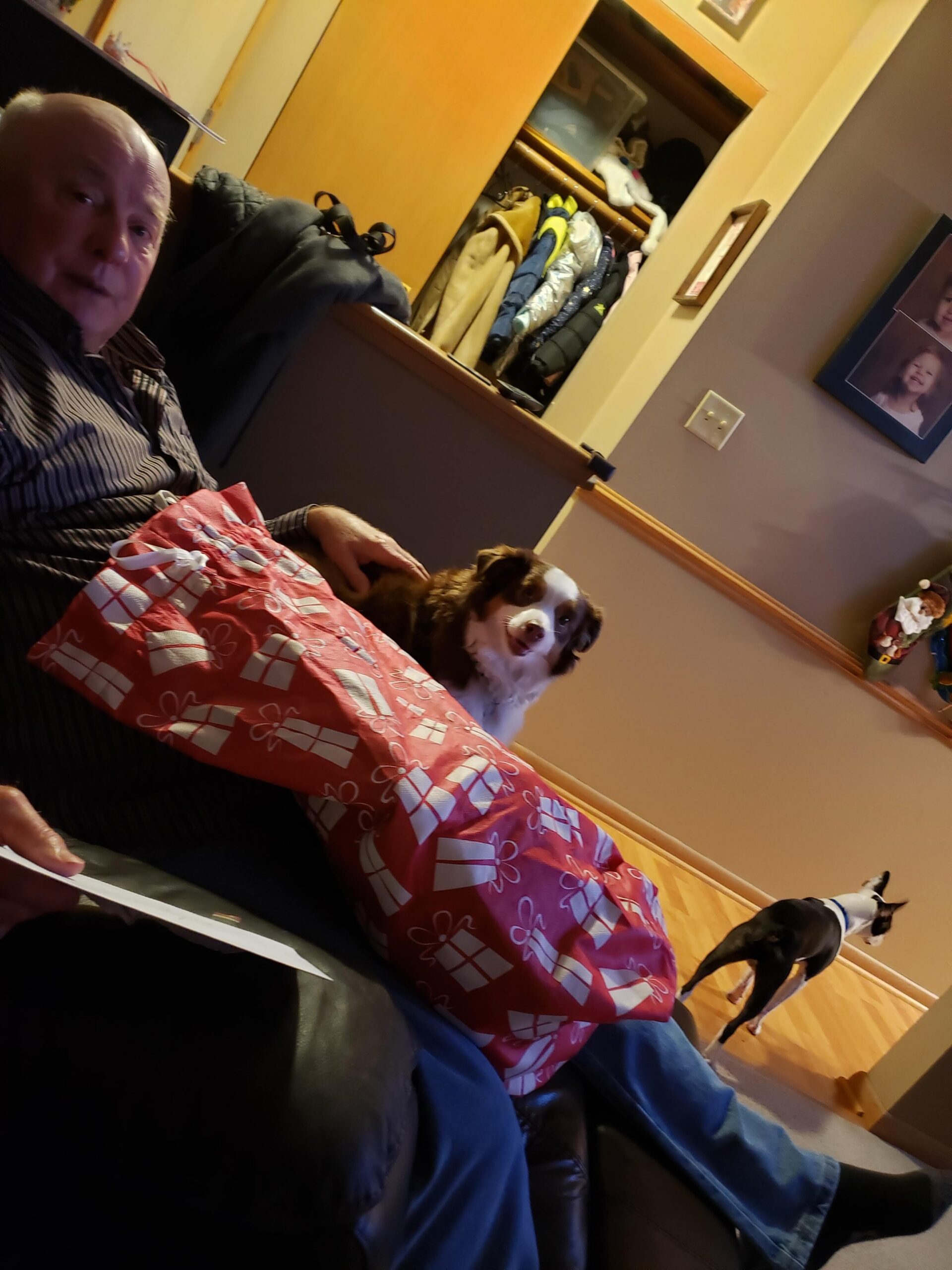 Older man sitting on a couch with a fluffy dog beside a large red gift bag with white patterns in a home setting.