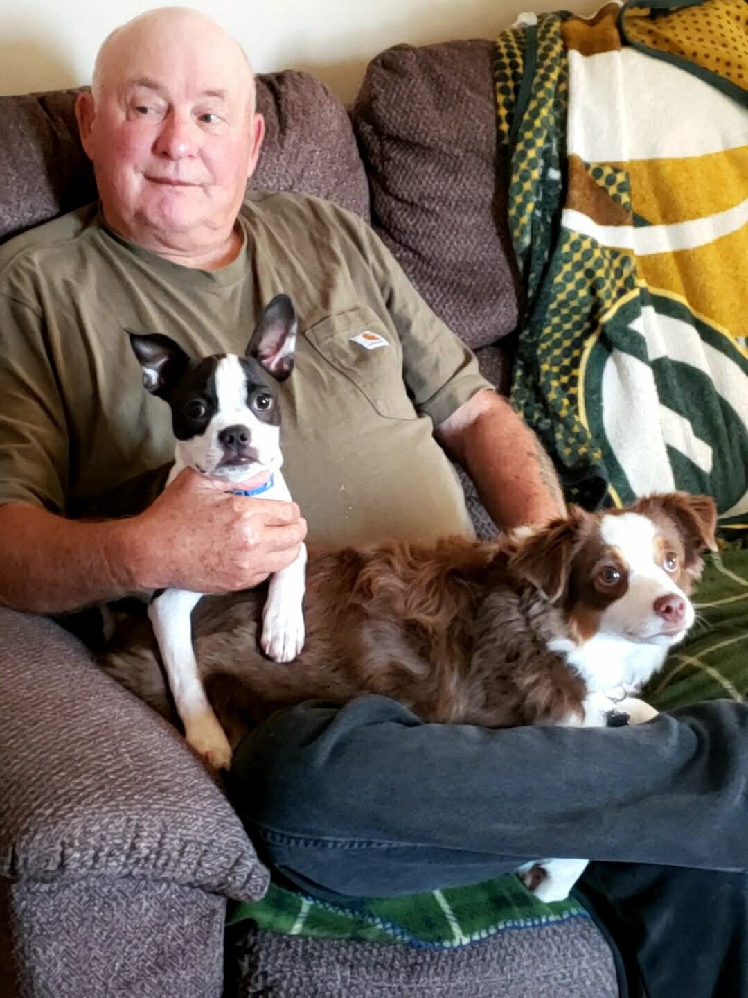 Older man sits on a sofa with two small dogs: a black-and-white Boston Terrier on his lap and a brown-and-white spaniel mix resting beside him under a blanket on the couch.