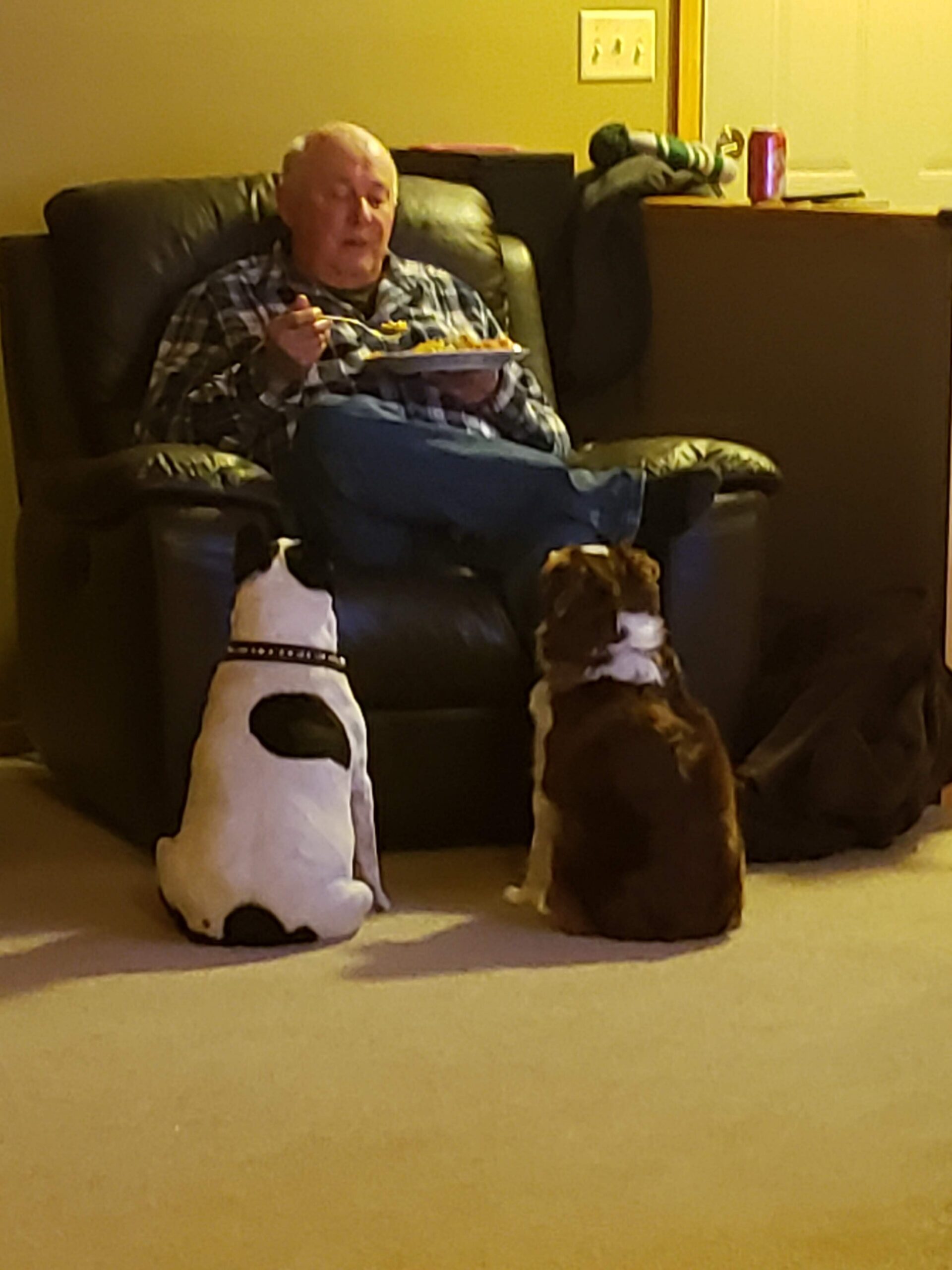 Elderly man in a plaid shirt sits in a recliner eating from a plate while two dogs sit nearby on the floor.