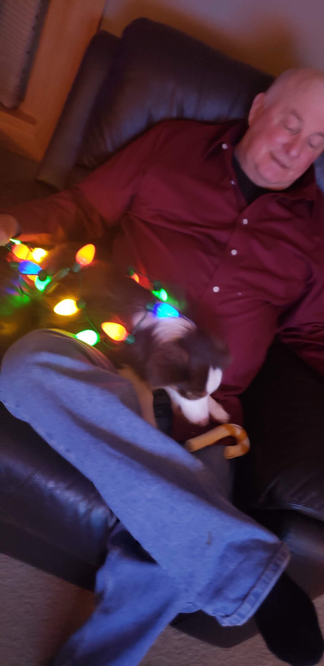 Older man in a maroon shirt sits on a brown leather chair as a child and a small dog play with colorful Christmas lights nearby.