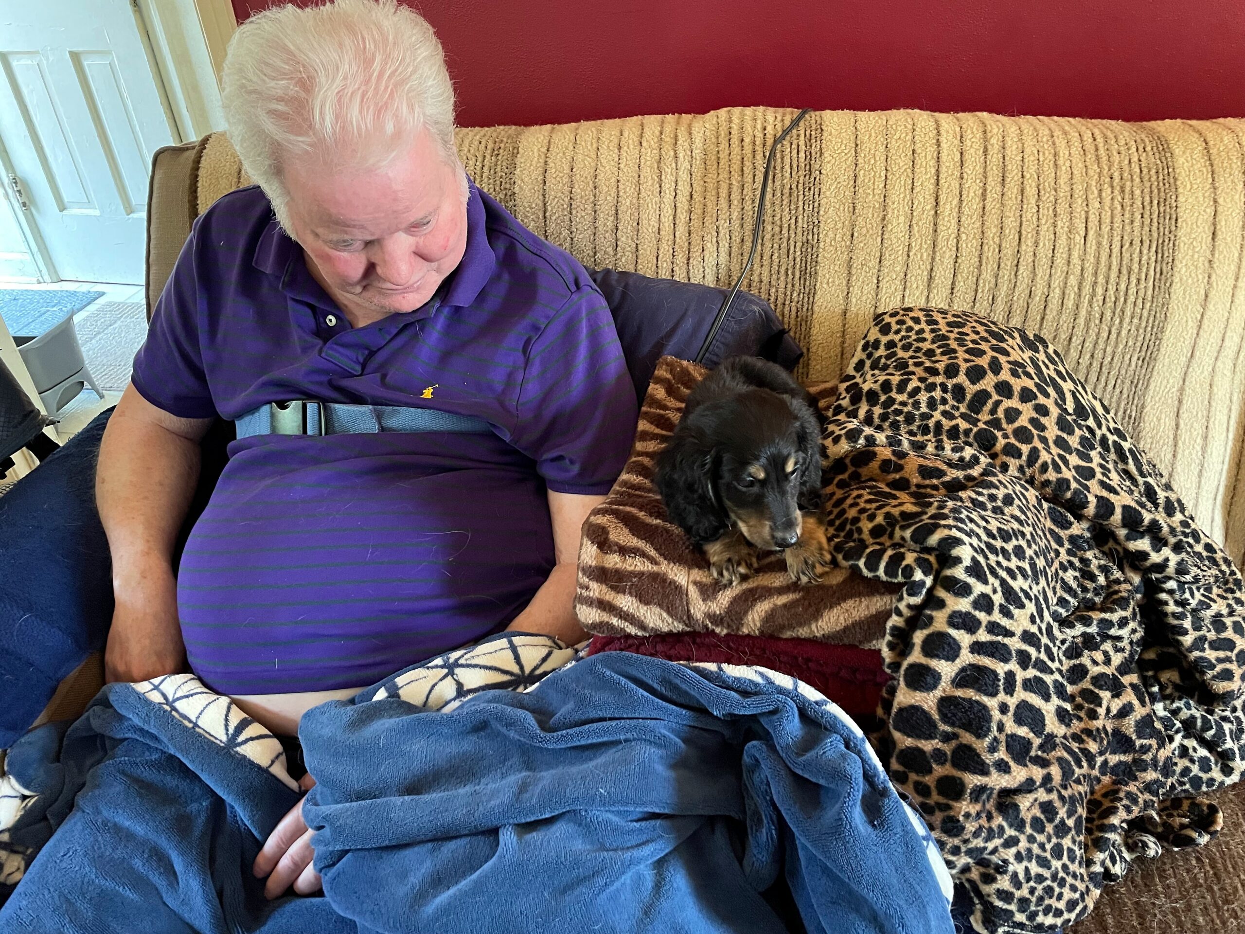 Elderly man with white hair in a purple polo resting on a beige sofa, a small black dog snuggled on a leopard-print blanket beside him.
