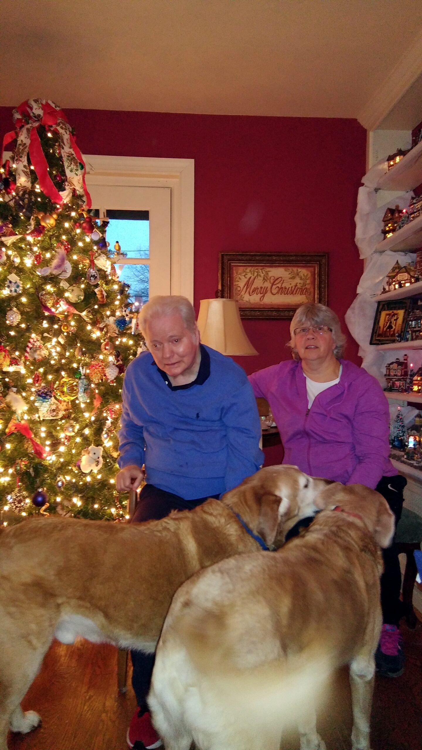 An elderly man in a blue shirt and a woman in a purple jacket sit beside a lit Christmas tree with ornaments in a cozy red-walled living room; two large dogs in the foreground.