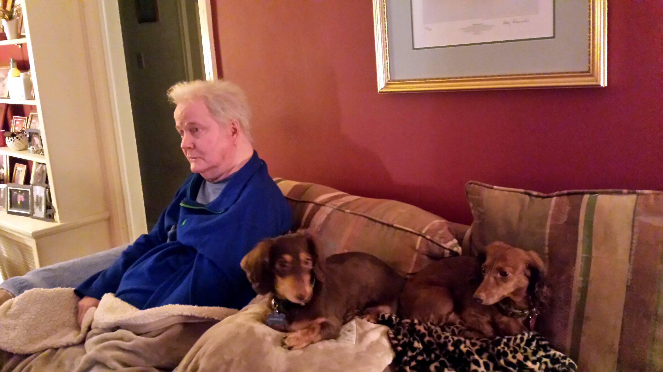 Older man with grey hair sits on a beige sofa wearing a blue jacket, with three small brown dogs resting beside him in a cozy living room.