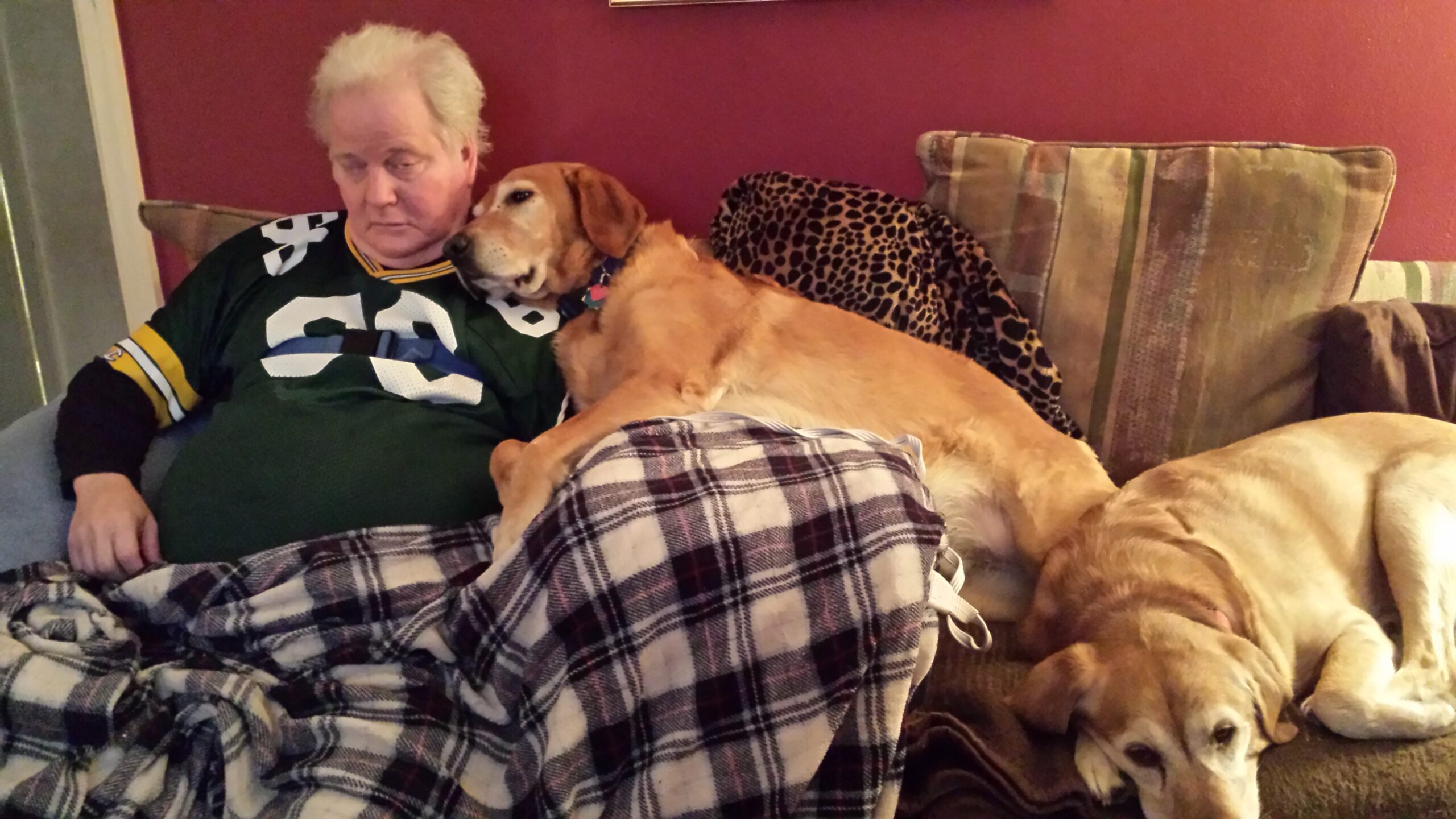 Older man lounging on a sofa with two dogs, a beagle cuddling beside him and a golden retriever resting nearby on a plaid blanket.