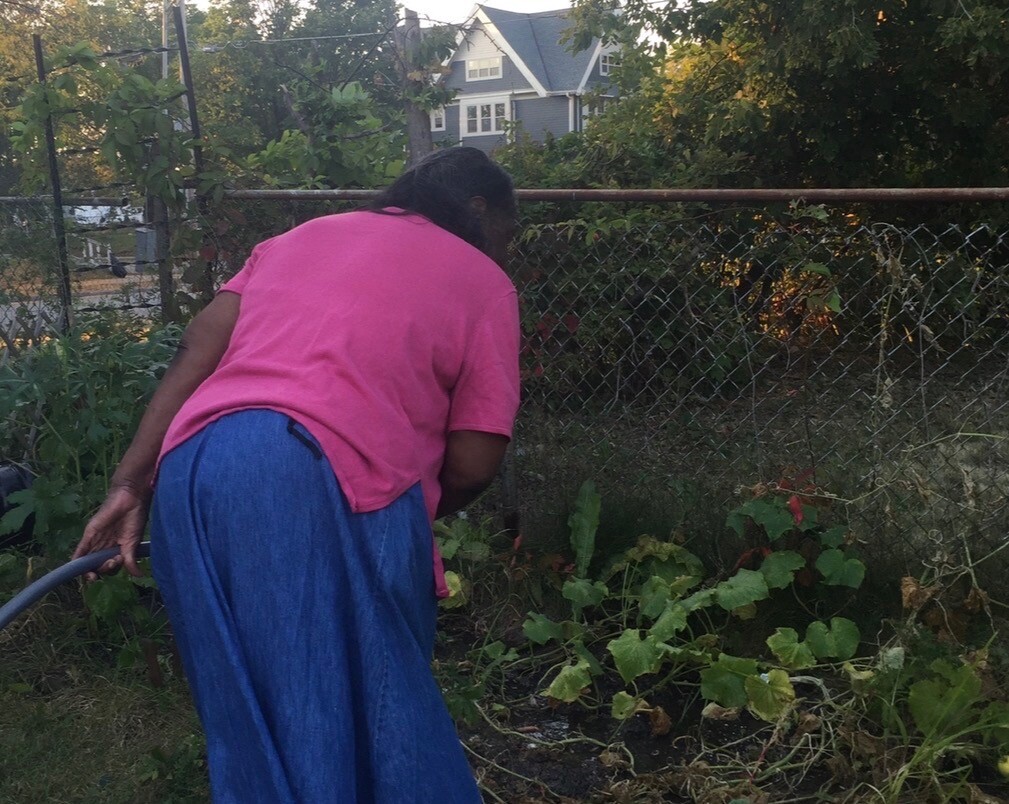 Woman in a pink shirt and blue skirt watering plants in a backyard beside a chain-link fence.