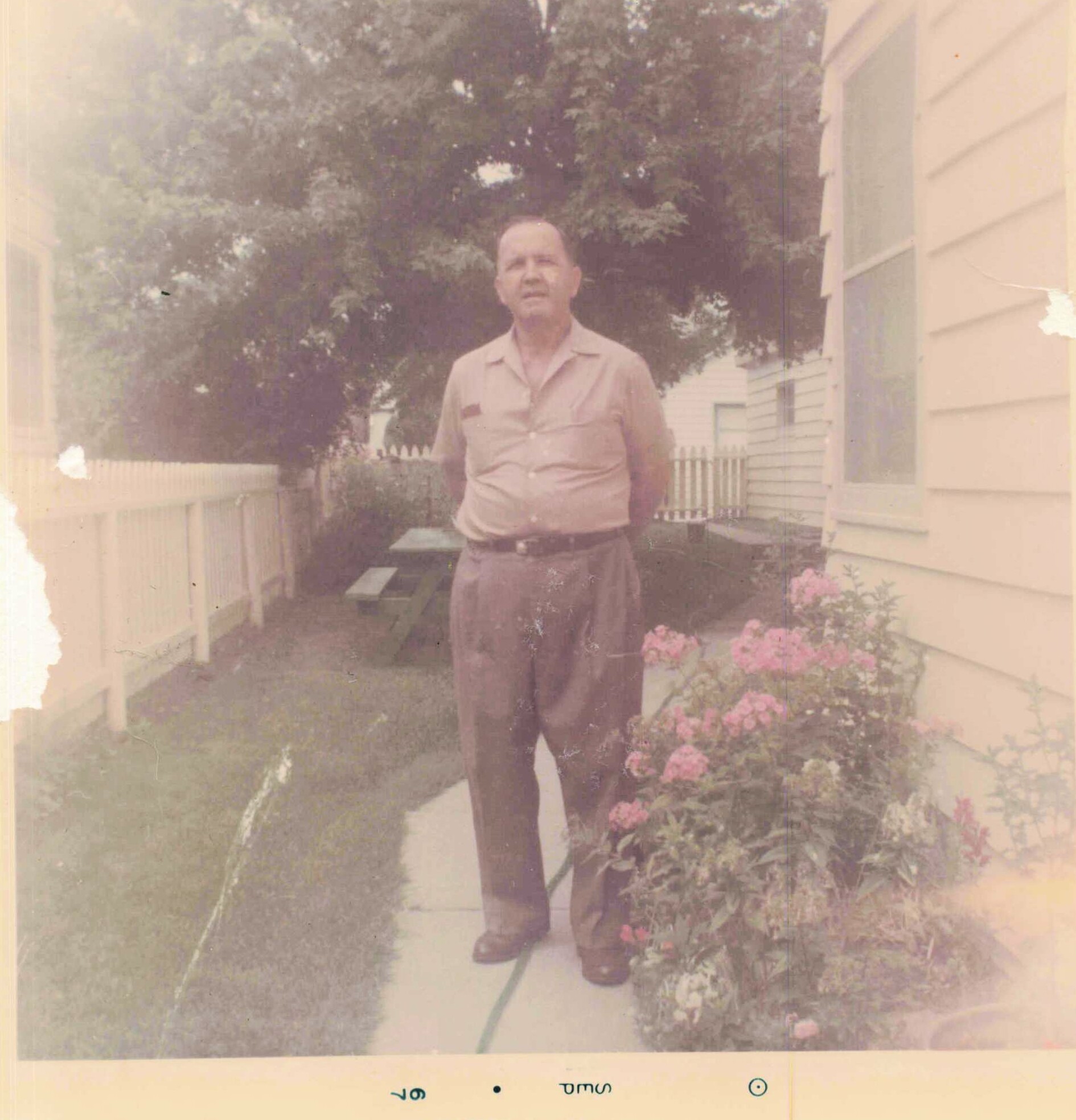 Older man standing on a walkway beside a house, with pink flowers blooming and a white fence in the background.