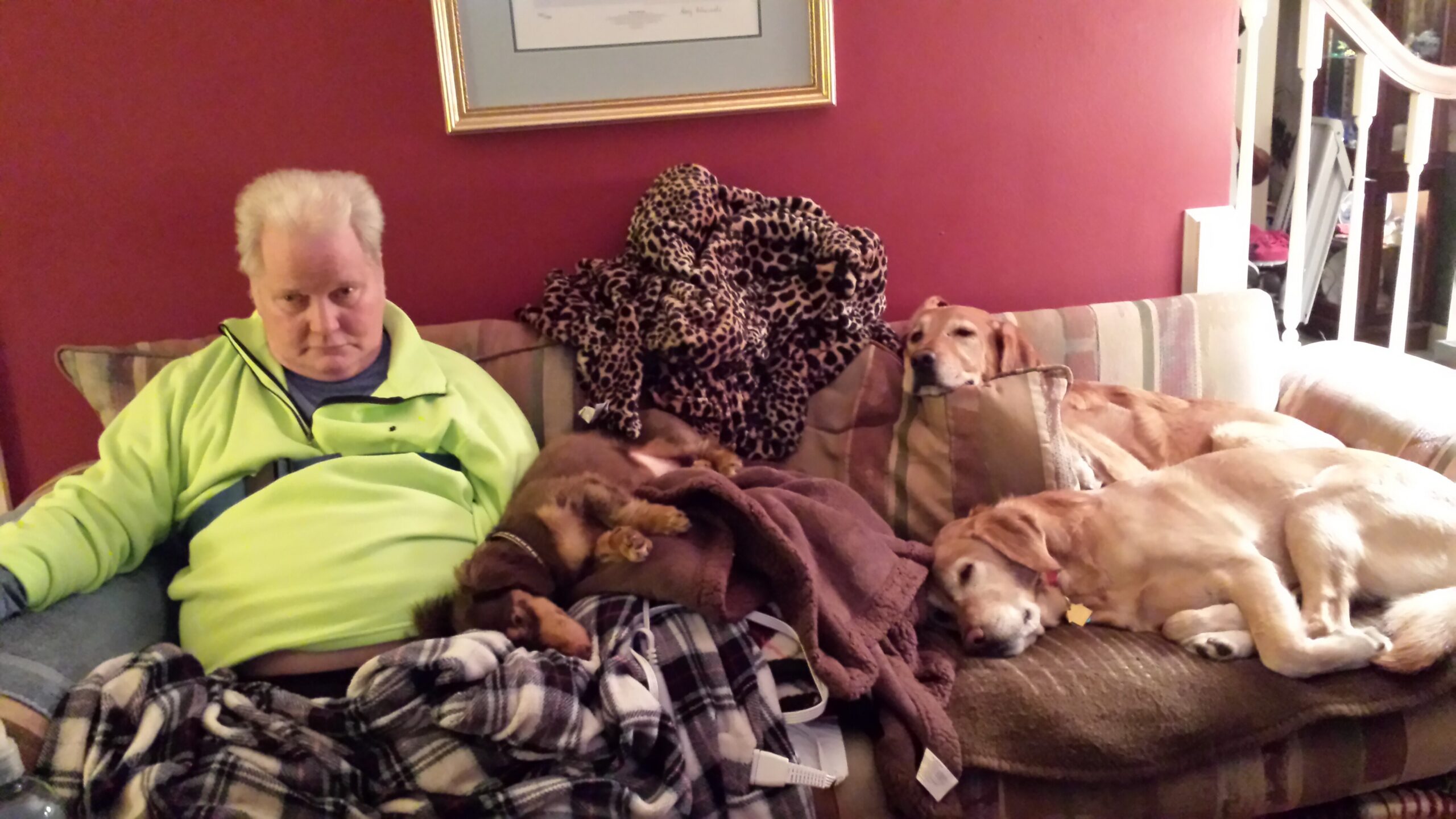 Older man in a bright neon jacket sits on a couch with several dogs resting beside him in a living room.