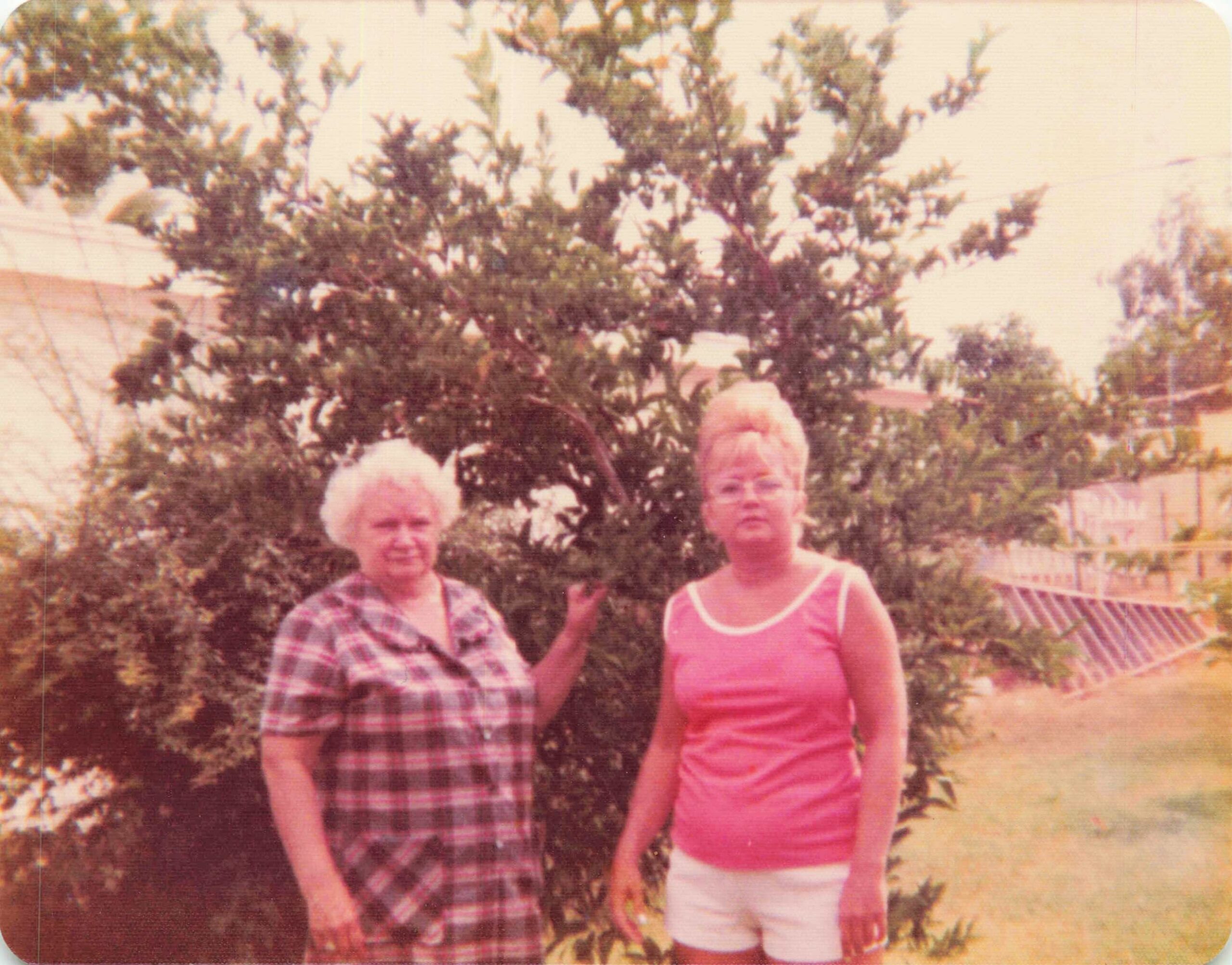 Two older women standing side by side outdoors in front of a tree, smiling.