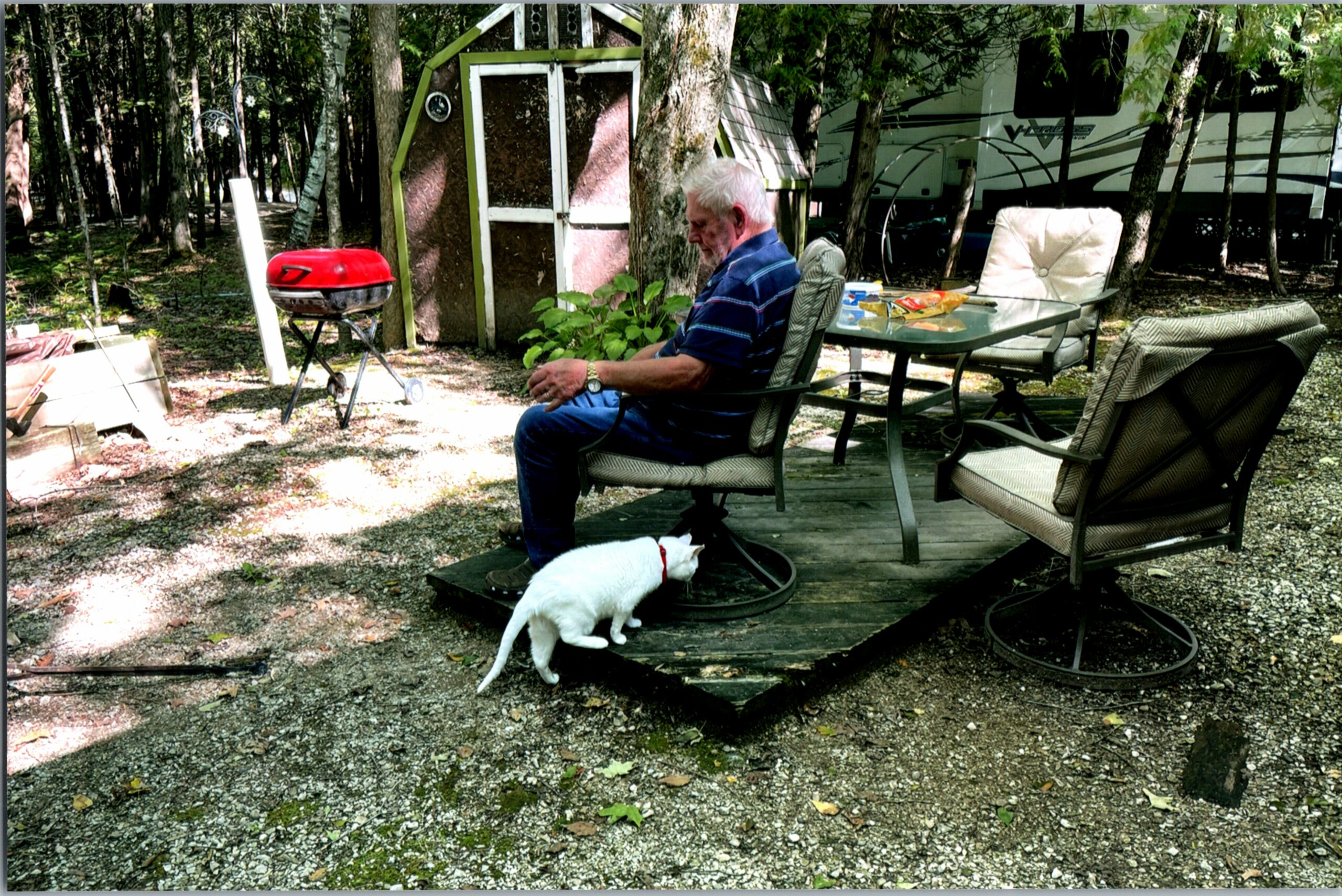 Older man sitting in a patio chair at a forest campsite, with a red kettle BBQ nearby and a white dog at his feet.
