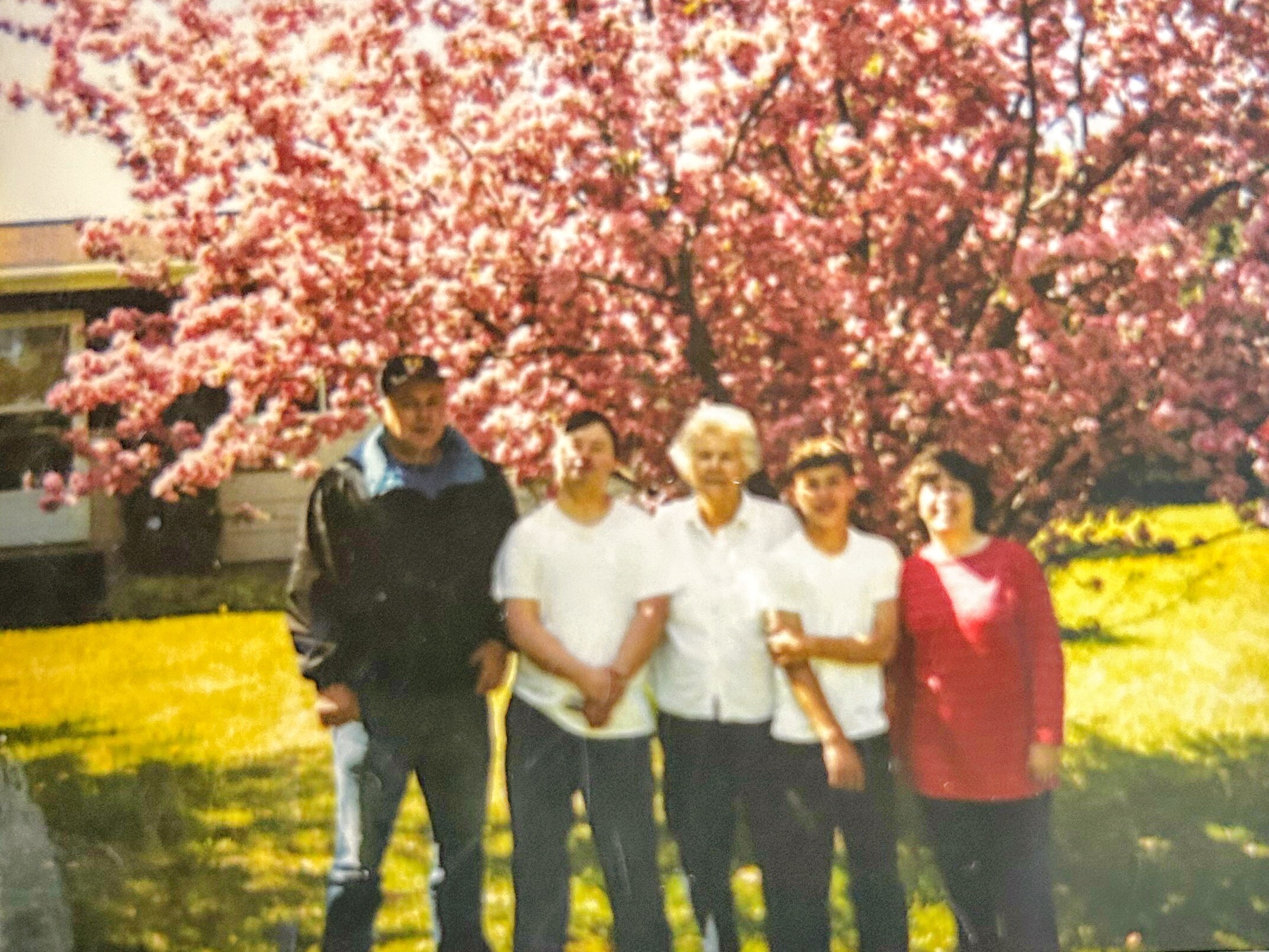 Group of people posing outdoors in front of a blooming pink cherry blossom tree.