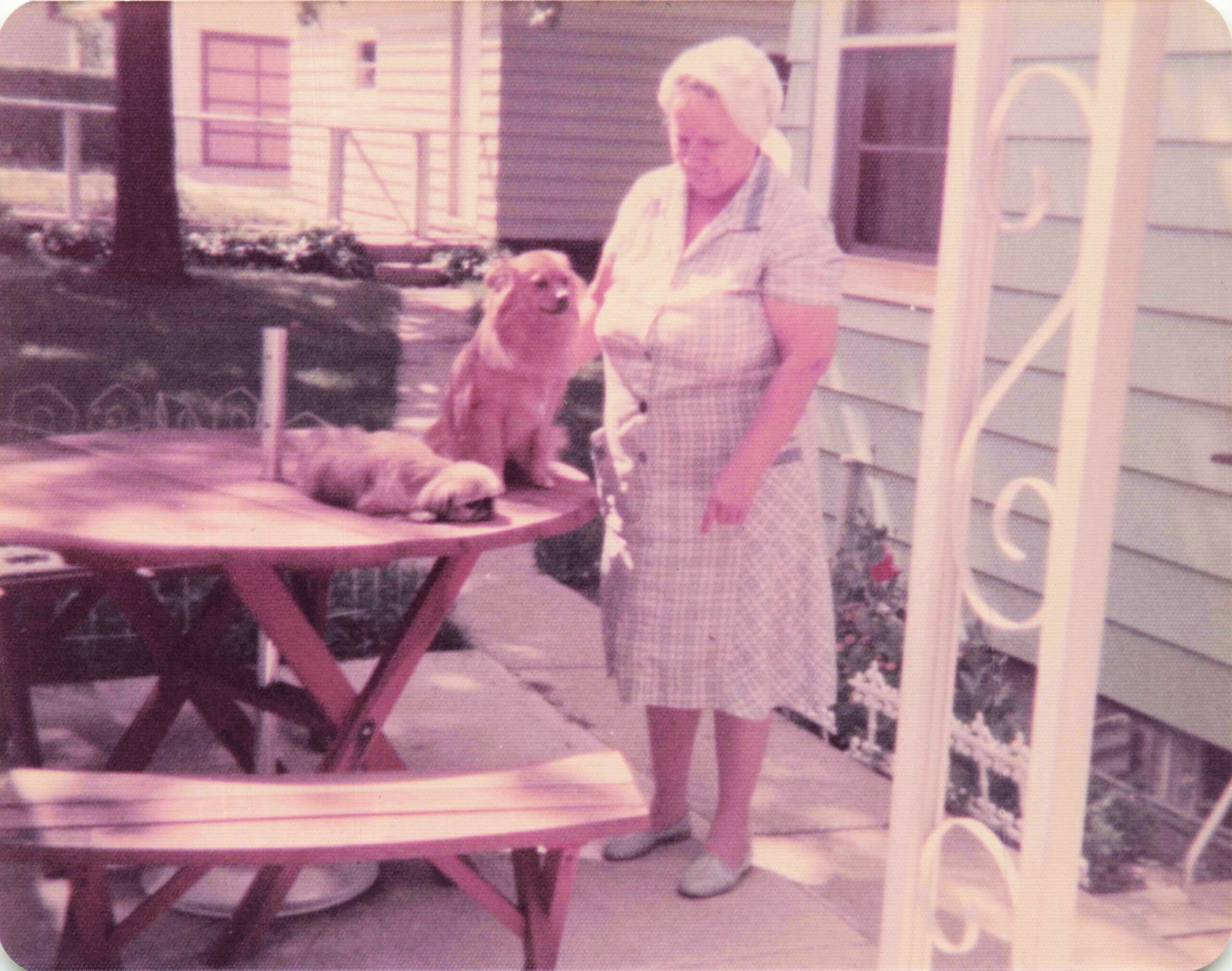 Older woman wearing a headscarf and checkered dress standing beside a golden retriever on a patio in front of a house.