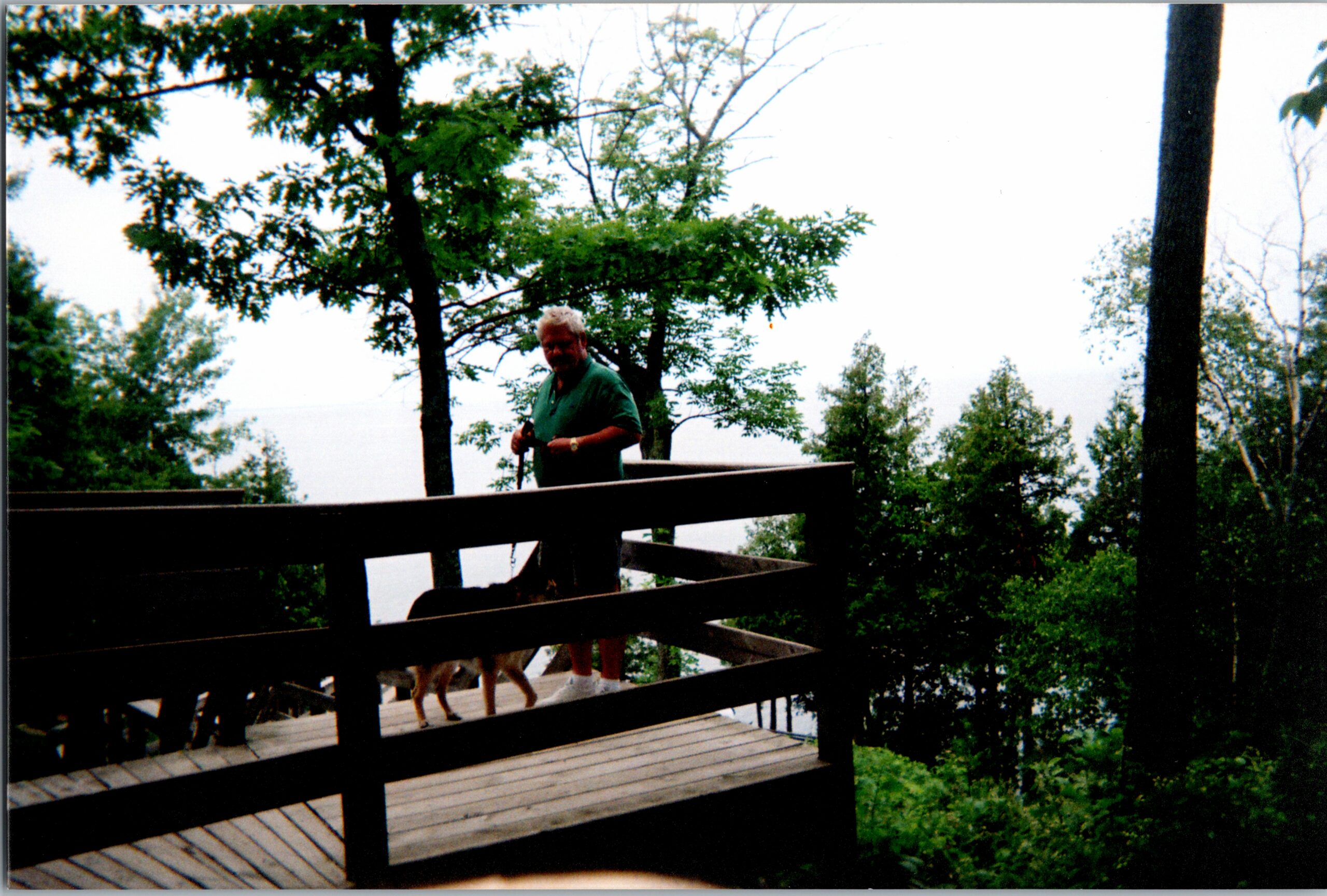 Man stands on a wooden deck railing in a forest, with a dog nearby and trees surrounding the overlook.