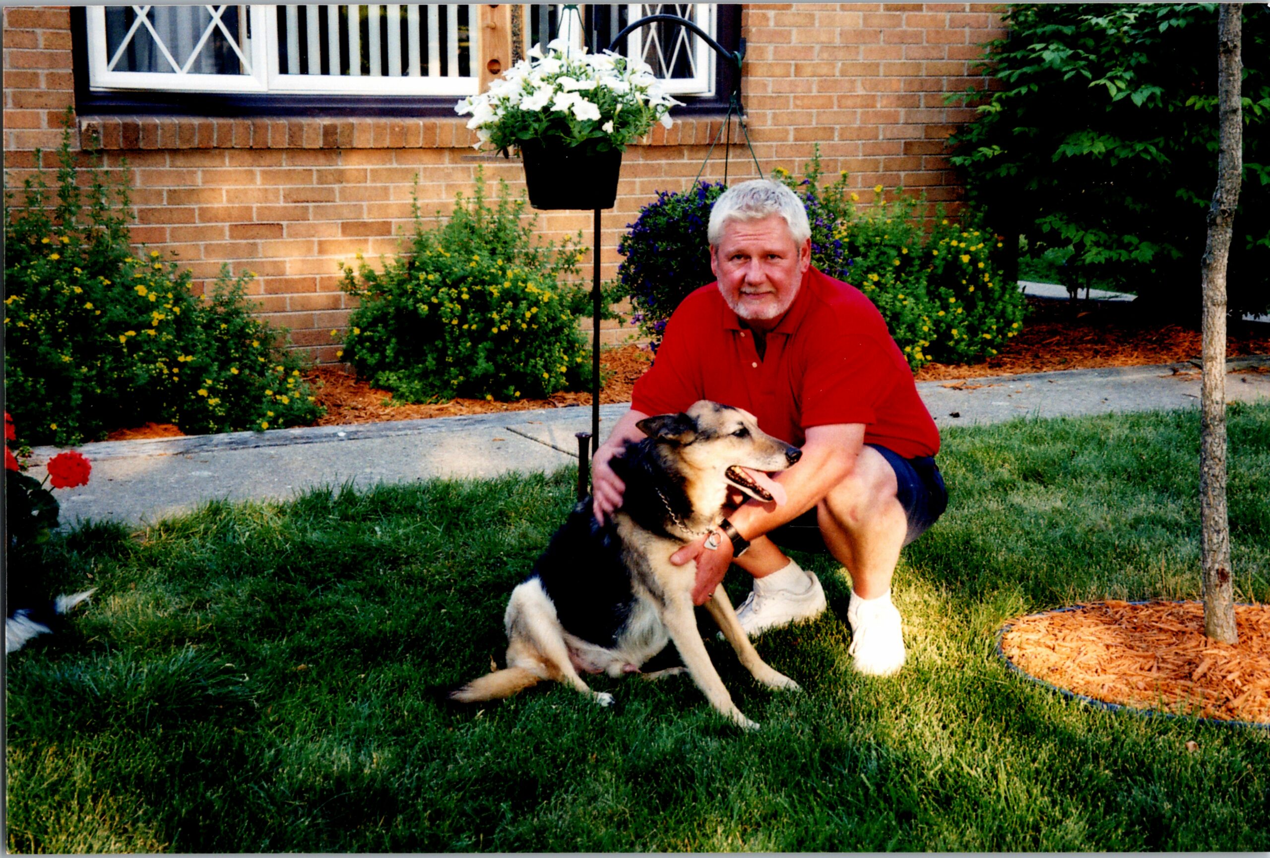 Older man in a red polo kneels with a black-and-tan German Shepherd on a grassy yard in front of a brick house with flower beds.