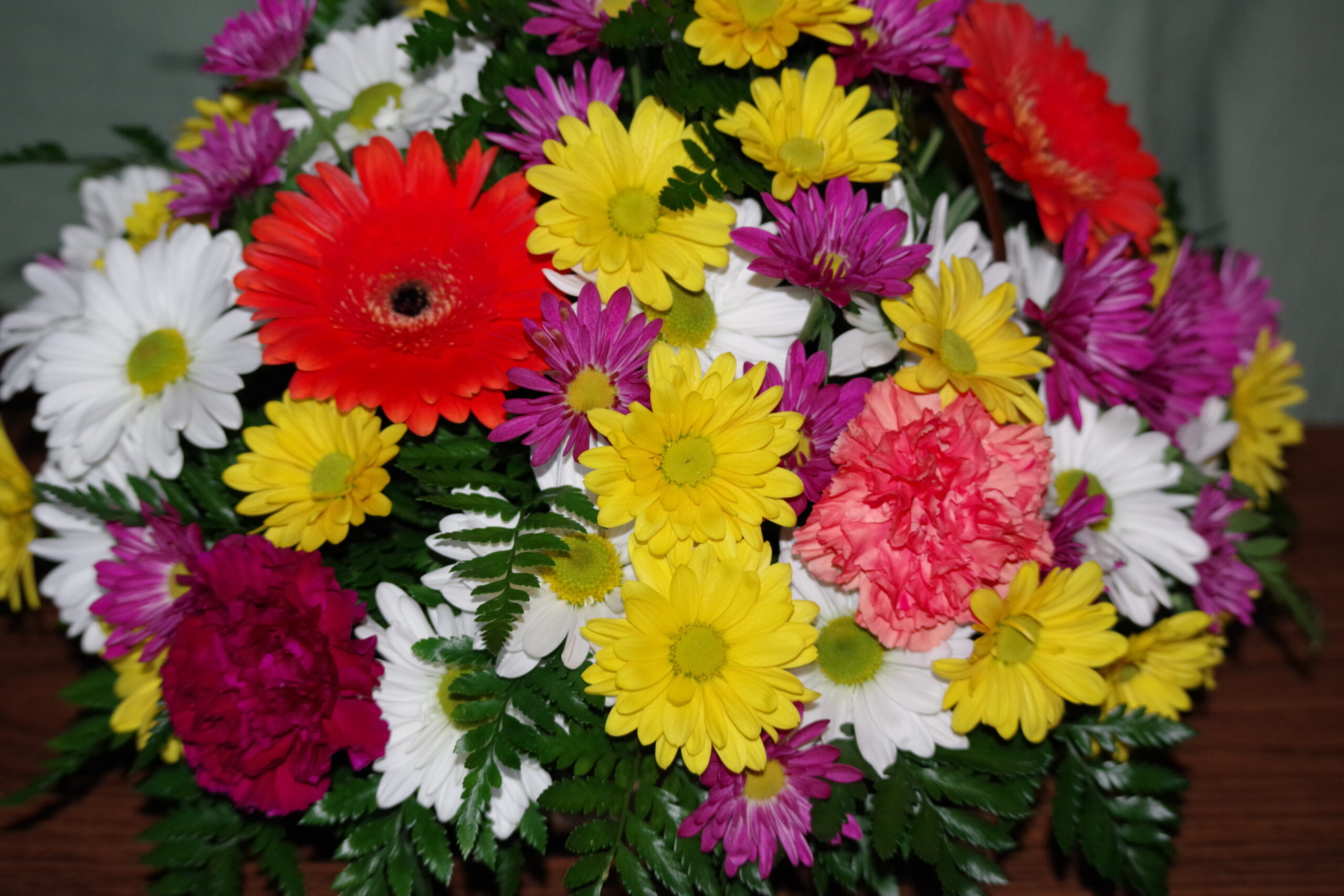 Bouquet of bright gerberas and daisies in white, yellow, pink, purple, and red colors.