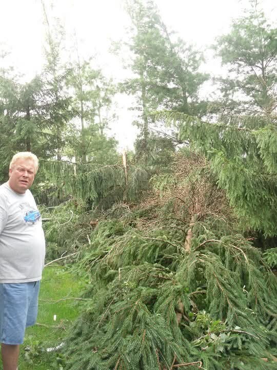 Man in a gray T-shirt and blue shorts stands beside a damaged evergreen tree in a yard.