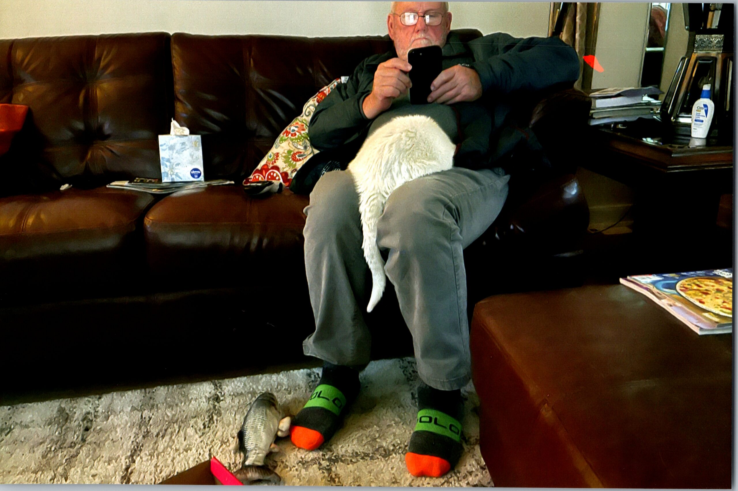 Older man with glasses sits on a brown leather couch, looking at a smartphone, with a white dog resting on his lap.