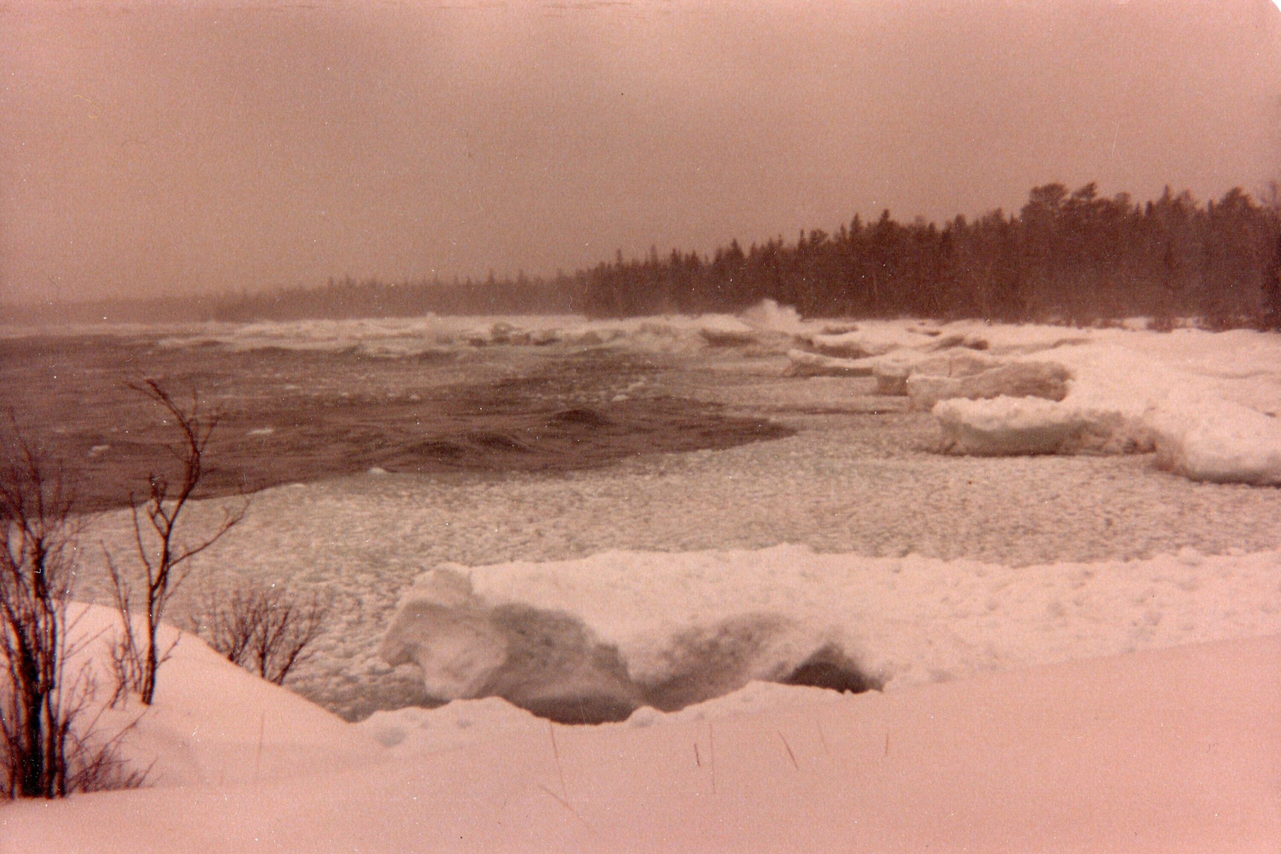 Snowy shoreline with a frozen lake and a distant pine forest under an overcast sky.