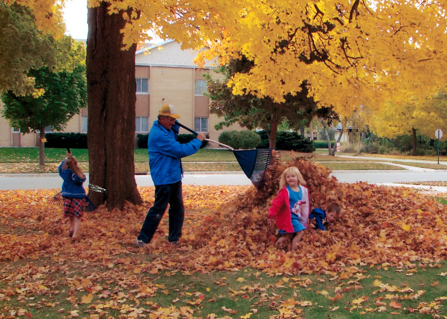Man in blue jacket and yellow hat raking leaves into a pile while two children play nearby.
