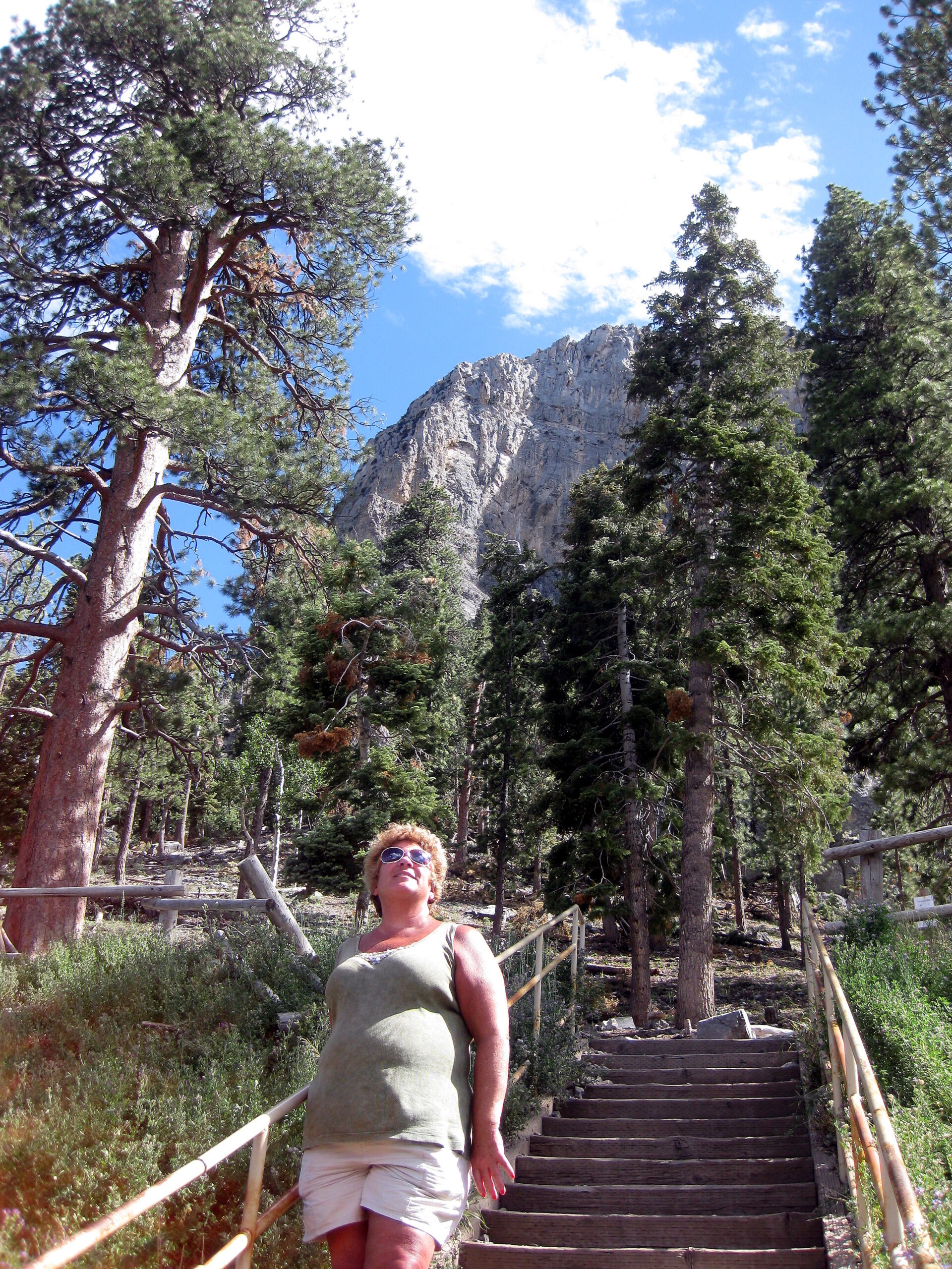 Woman wearing a green tank top and light shorts stands on wooden steps in a forest, with tall trees and rocky mountains in the background under a blue sky.
