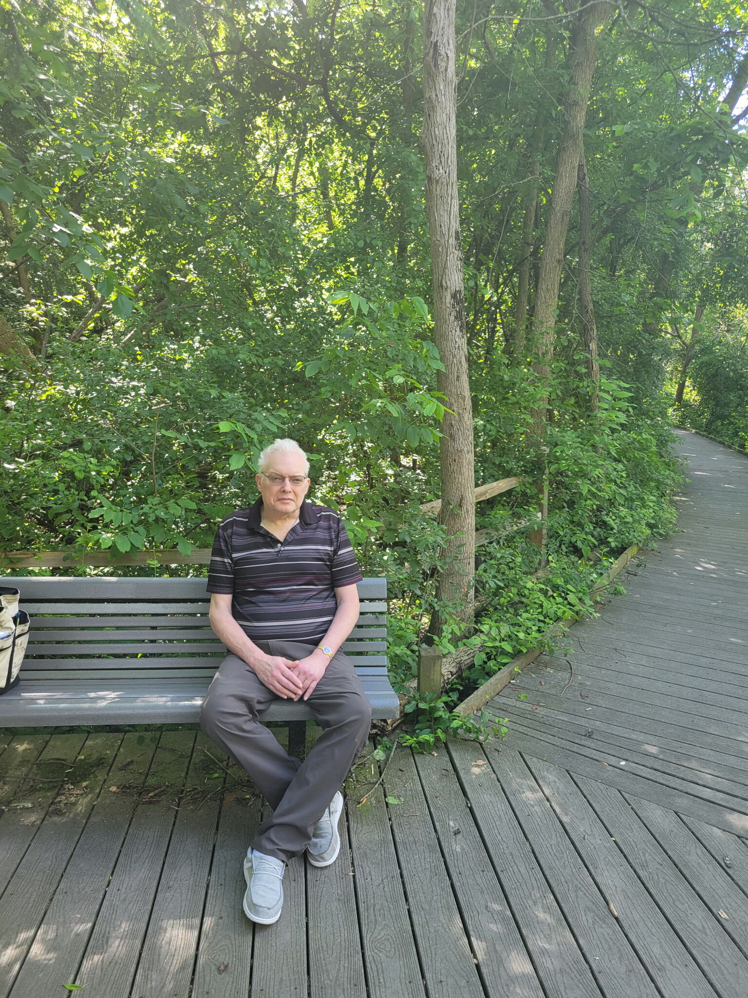 Older man sitting on a park bench along a wooden boardwalk, surrounded by dense green trees and shrubbery.