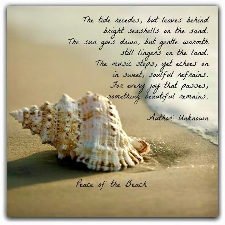 Shell on wet sand with a cursive beach poem and 'Author: Unknown'—captioned 'Peace of the Beach'.