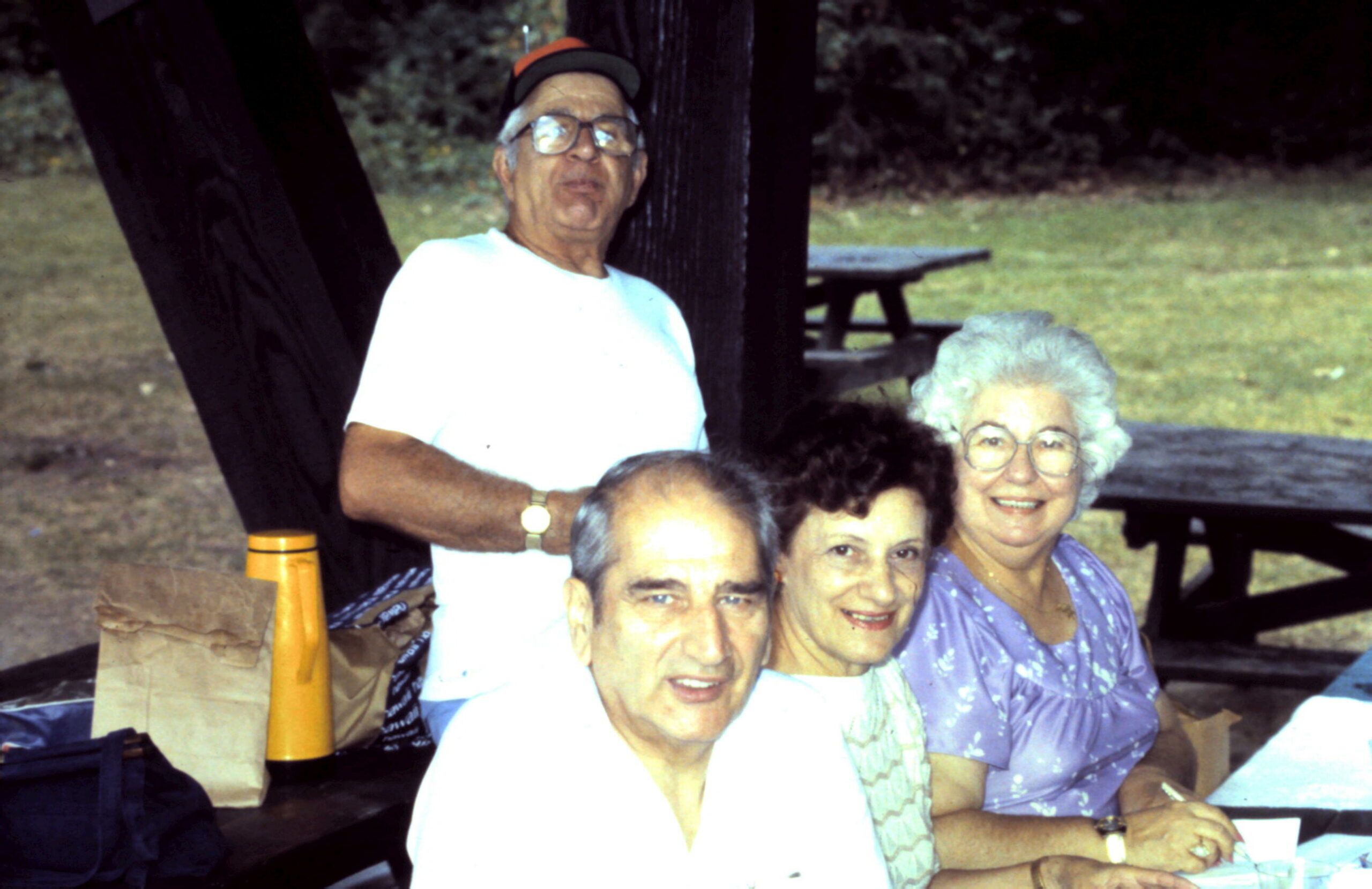 Group of seniors posing at a park picnic table, smiling for the camera.