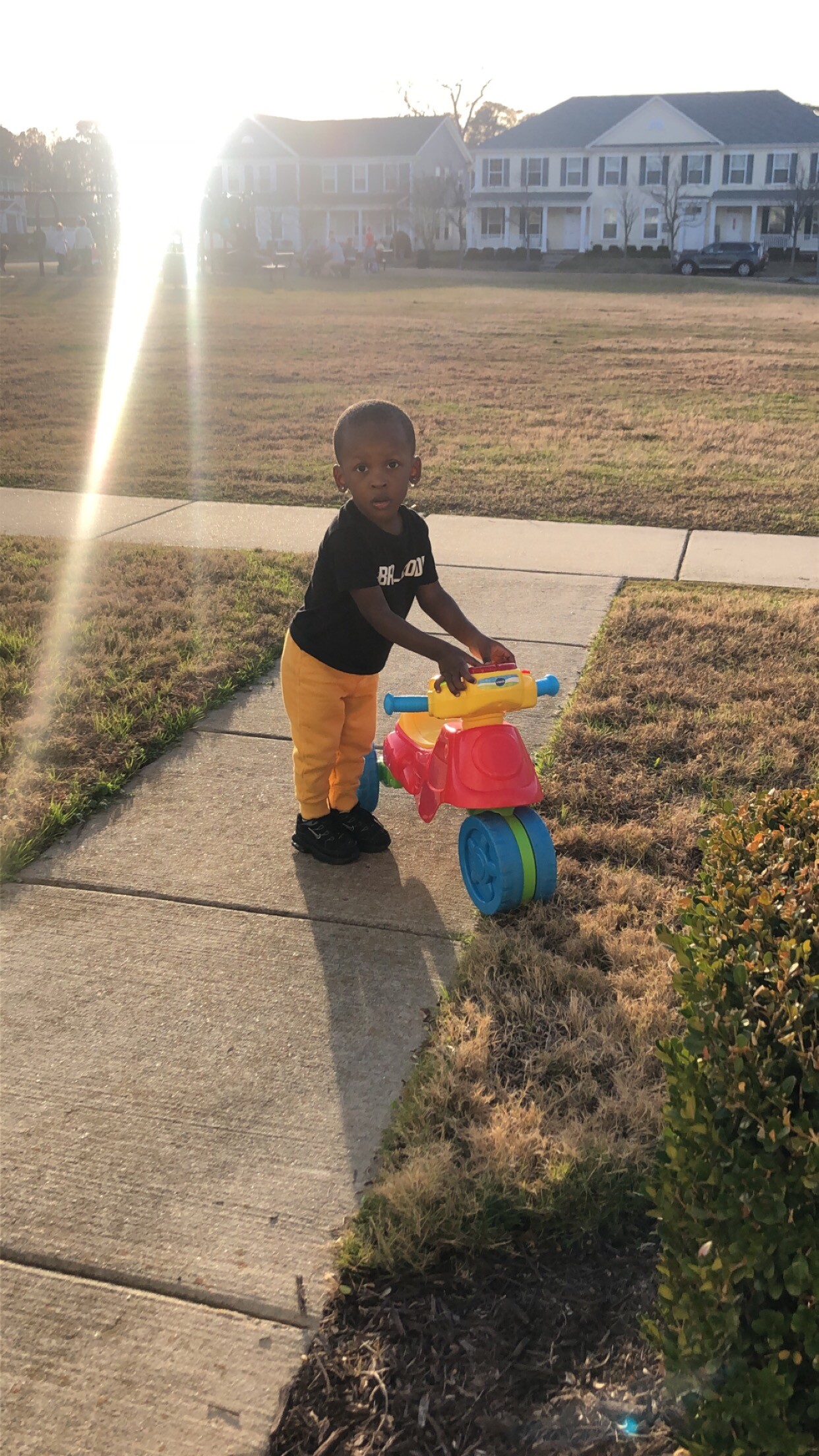 Small child on a colorful plastic tricycle on a sidewalk in a sunny suburban park setting at dusk/sunset.