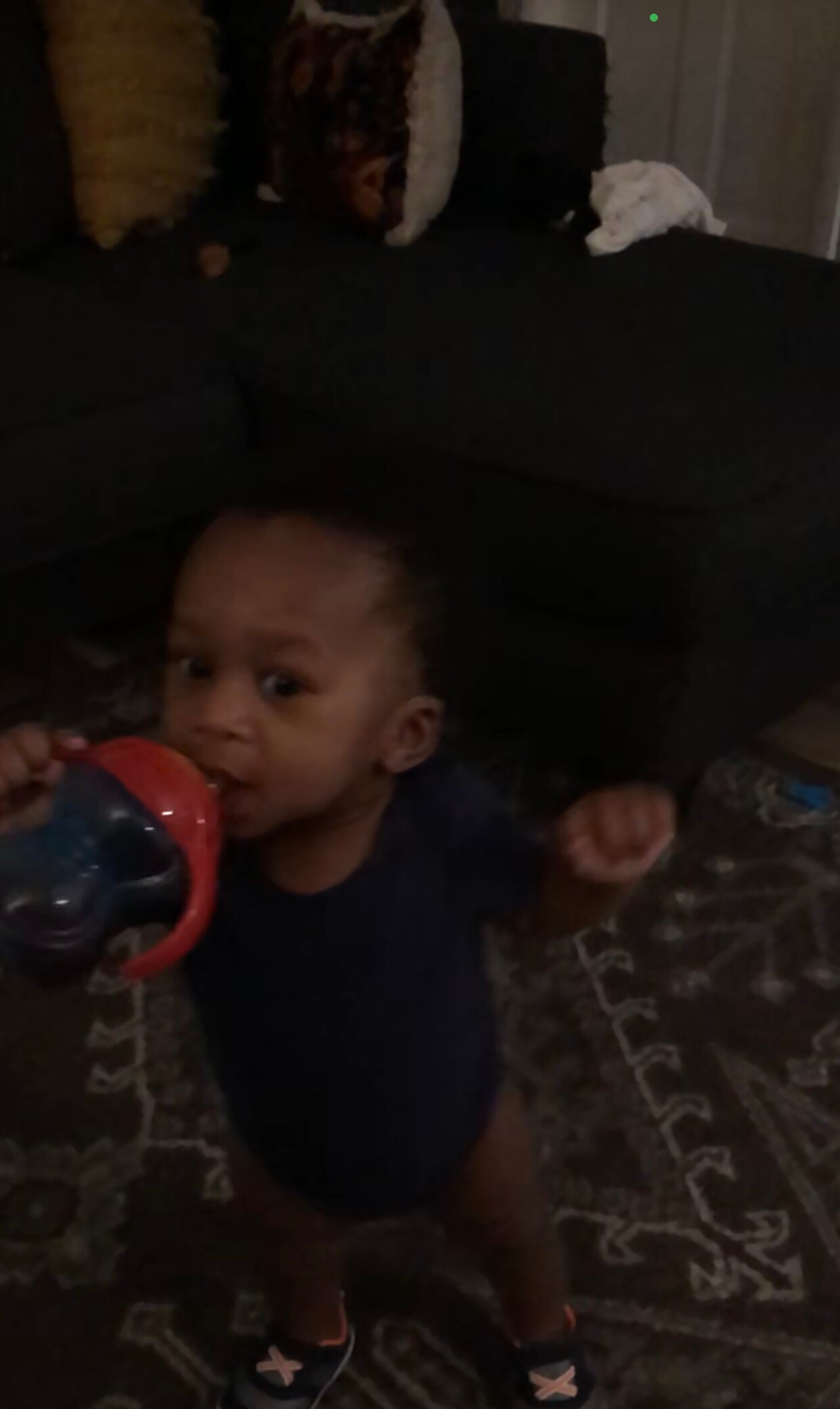 Toddler standing on a patterned rug, drinking from a red and blue sippy cup. Behind them is a dark sofa with cushions.