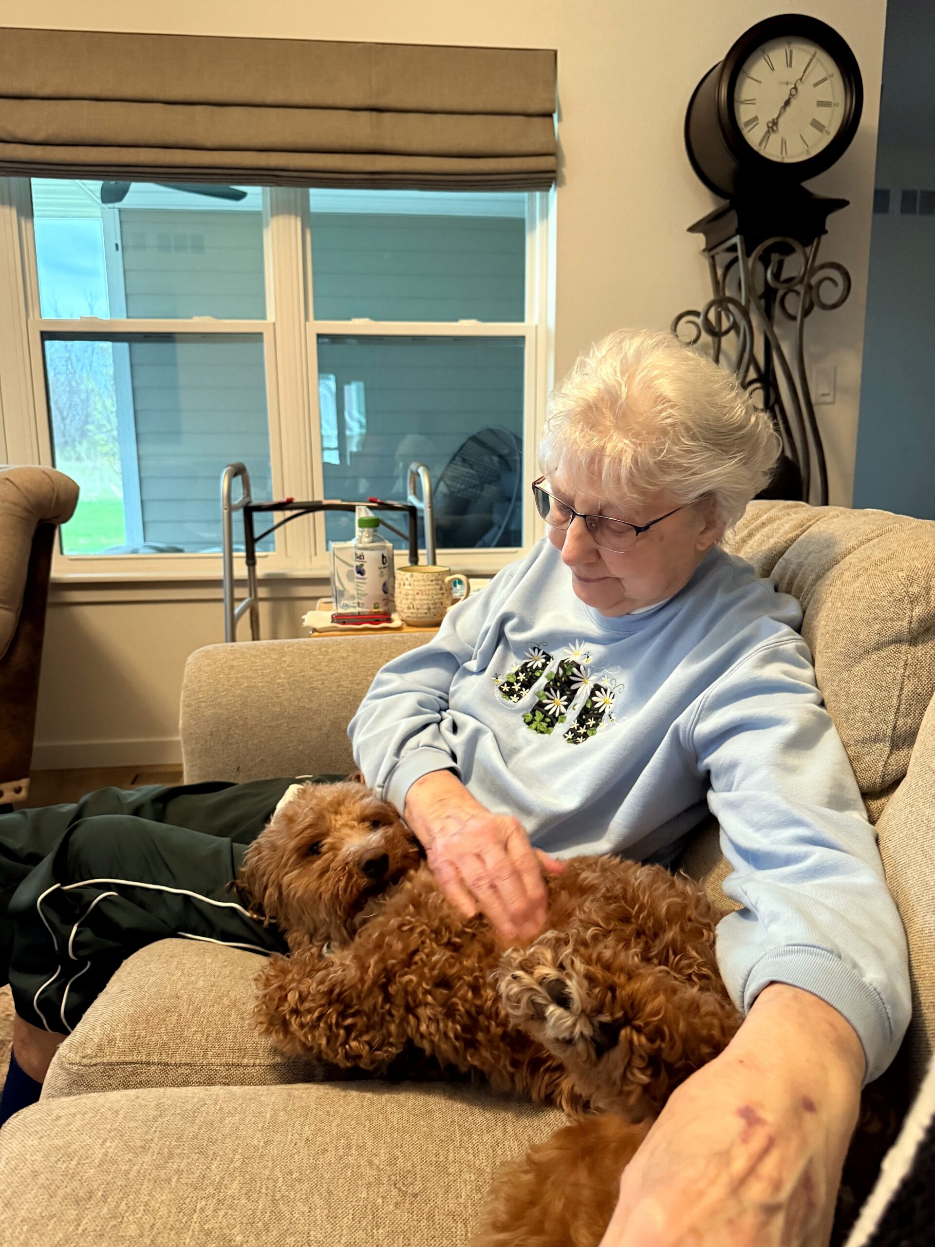 Older woman with glasses sits on a beige couch, gently petting a fluffy brown dog on her lap in a living room.