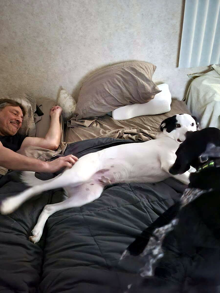 Man lying on a bed, smiling, with two dogs nearby—the white dog with black patches on the bed and a black dog standing in the foreground by the bed.