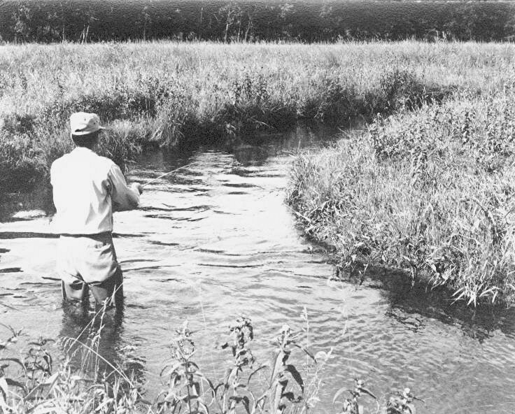 Person in a wide-brim hat wading in a shallow river, fishing among tall grasses along the banks (black-and-white photo).